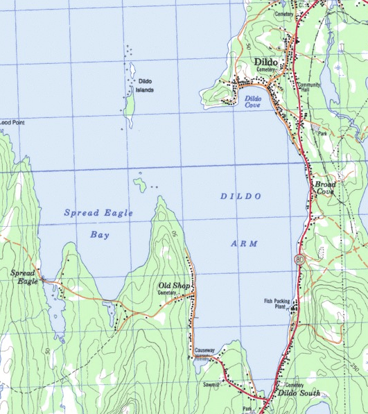 Dildo, Newfoundland [531 × 597] r/MapPorn