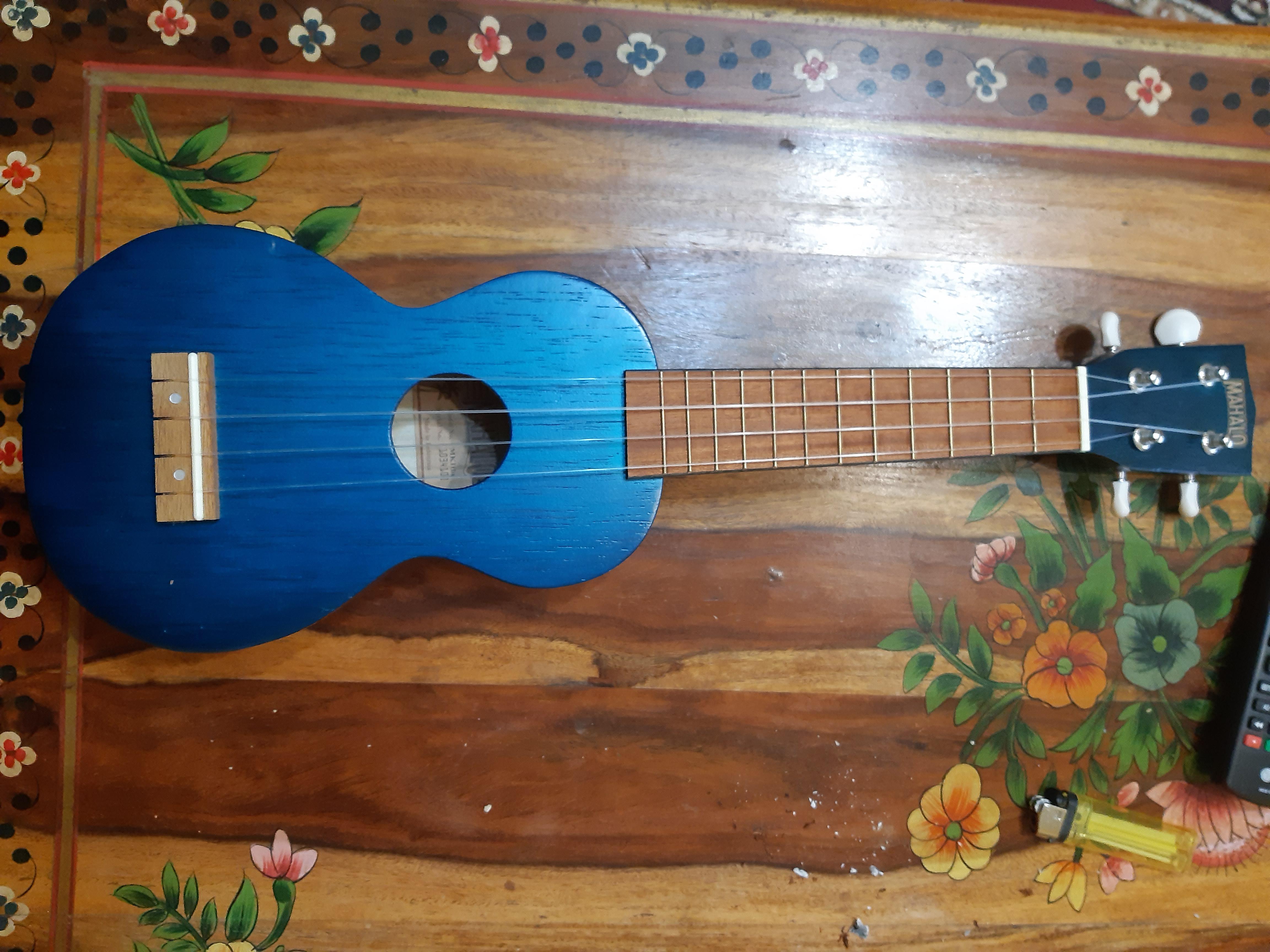 Rate my tropical bass r/Davie504