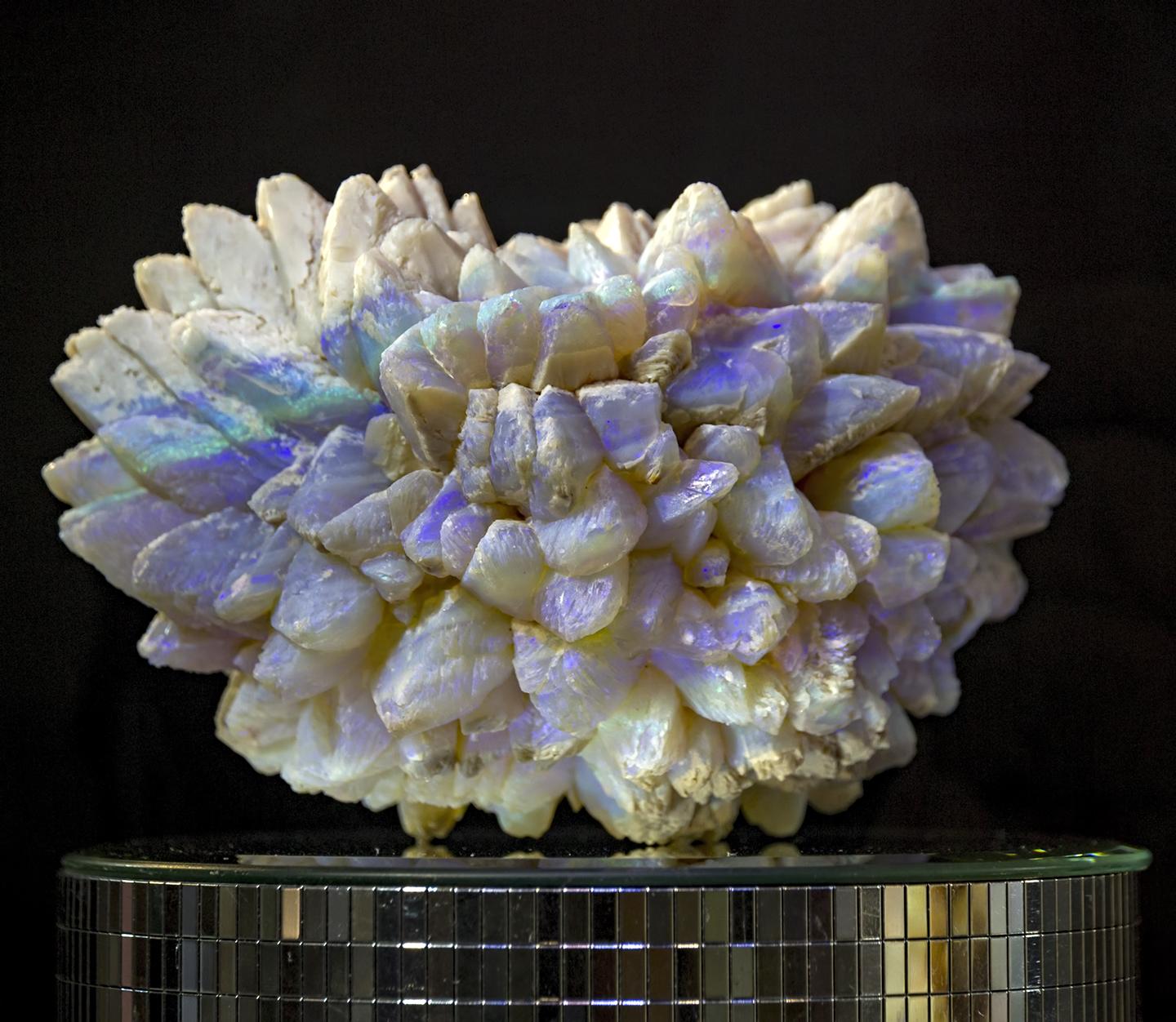 Opal Pineapple. Only found in White Cliffs NSW Australia. It is a Pseusomorph of Glauberite