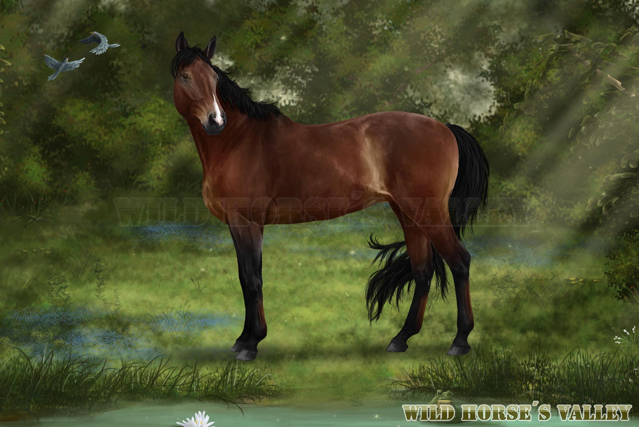 "English thoroughbred" for Wild Horse's Valley r/Equestrian