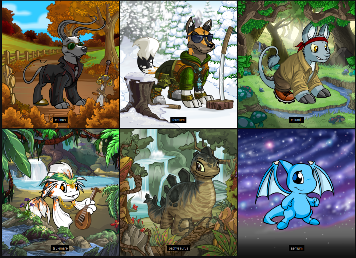 I am extremely pleased with my neopet custom and colors! I went with