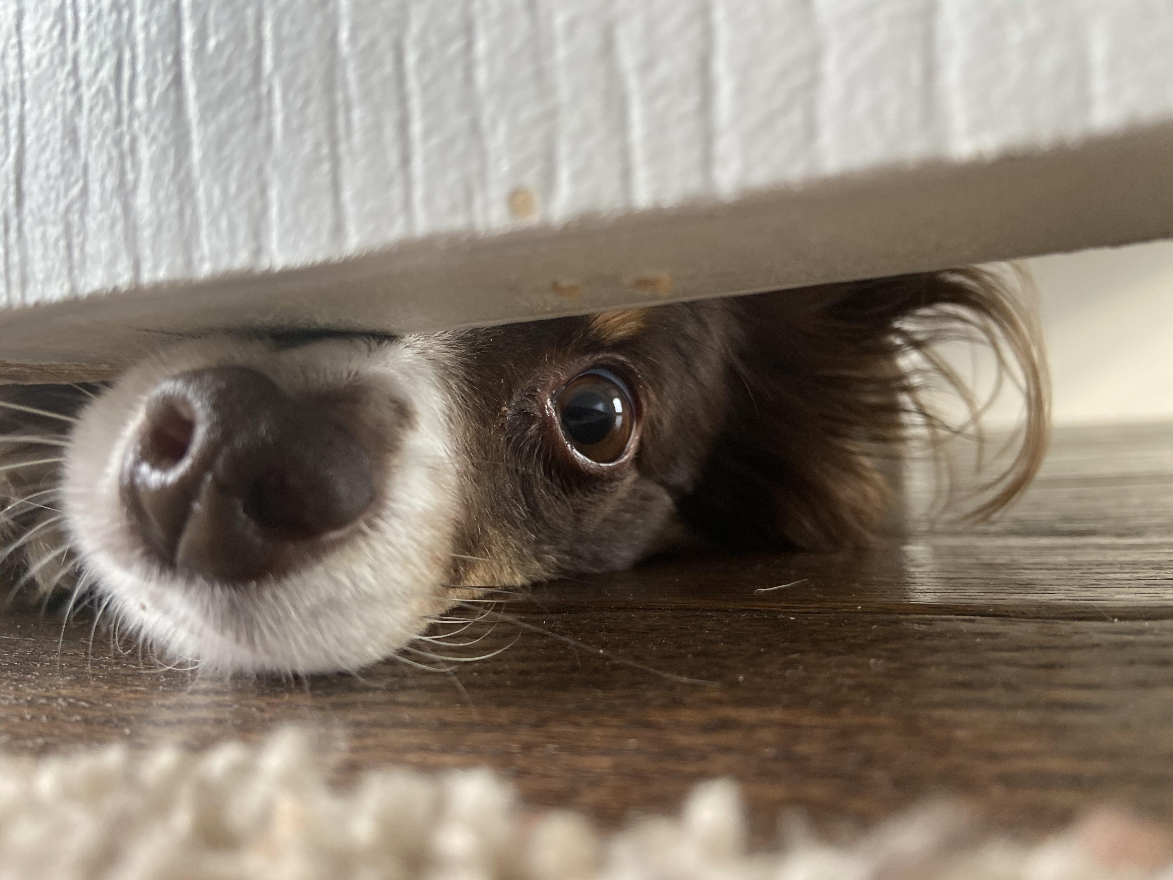 Every weekend morning, she waits outside my bedroom door for me to wake