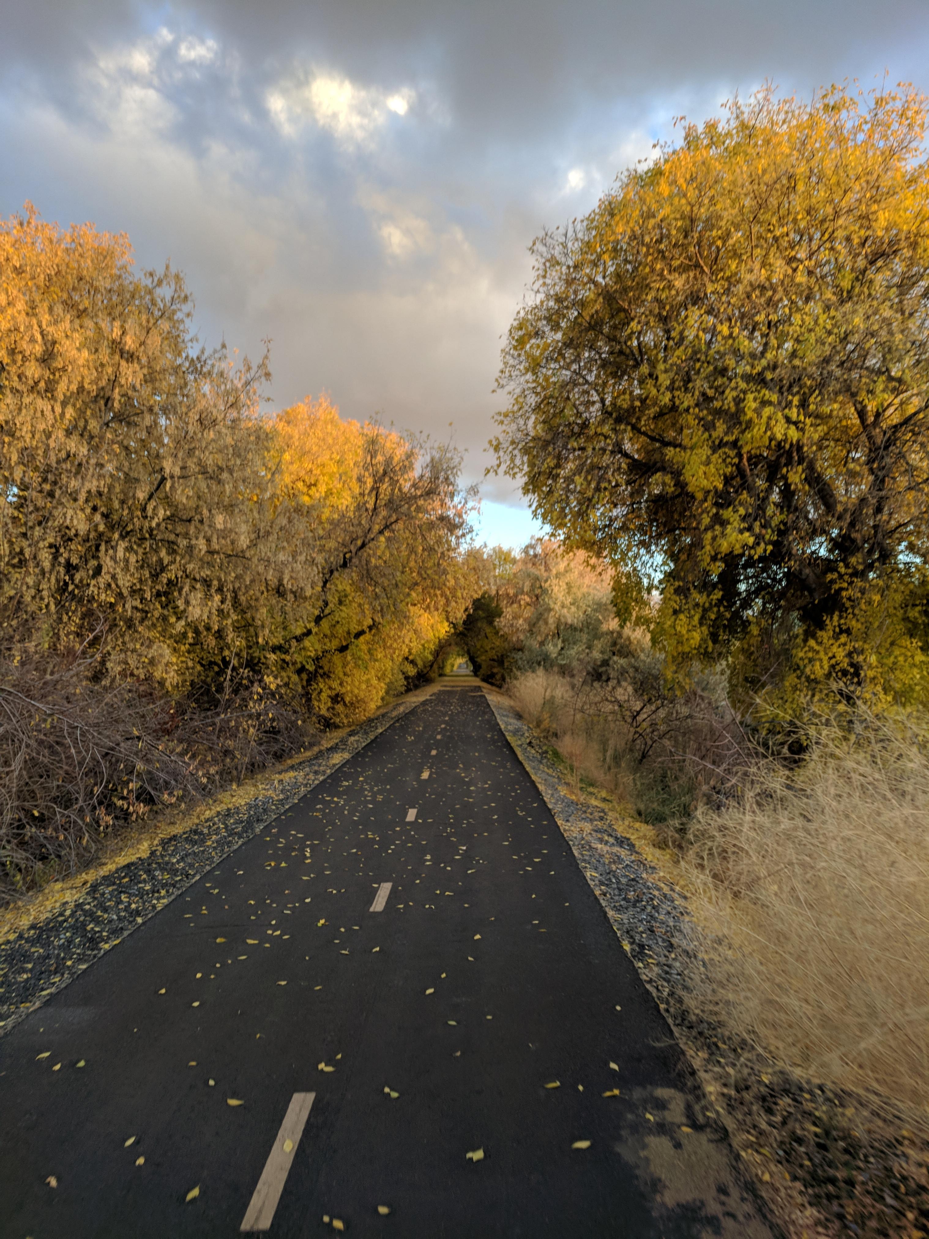 The bike trail was awesome tonight r/pics