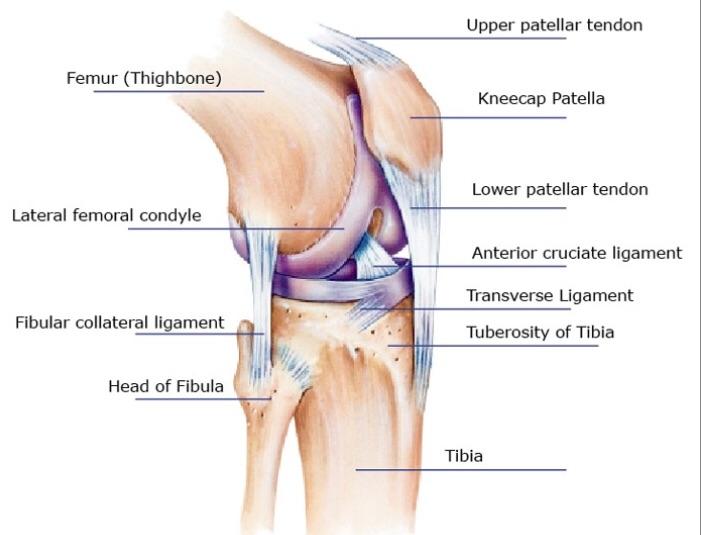 Knee pain... help! Has anyone experienced and recovered from chronic