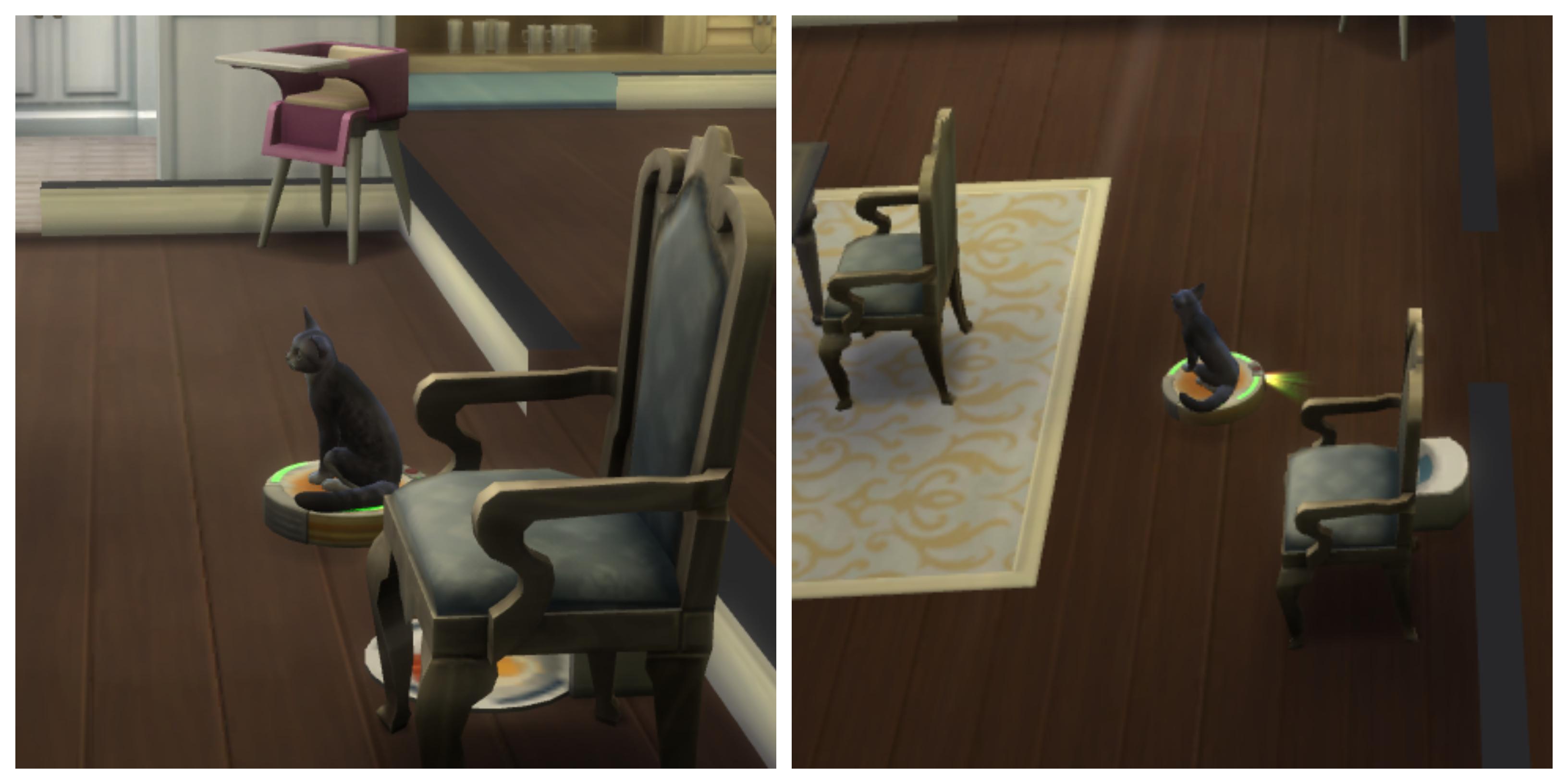 When you're a cat but you must ride the Roomba r/thesims