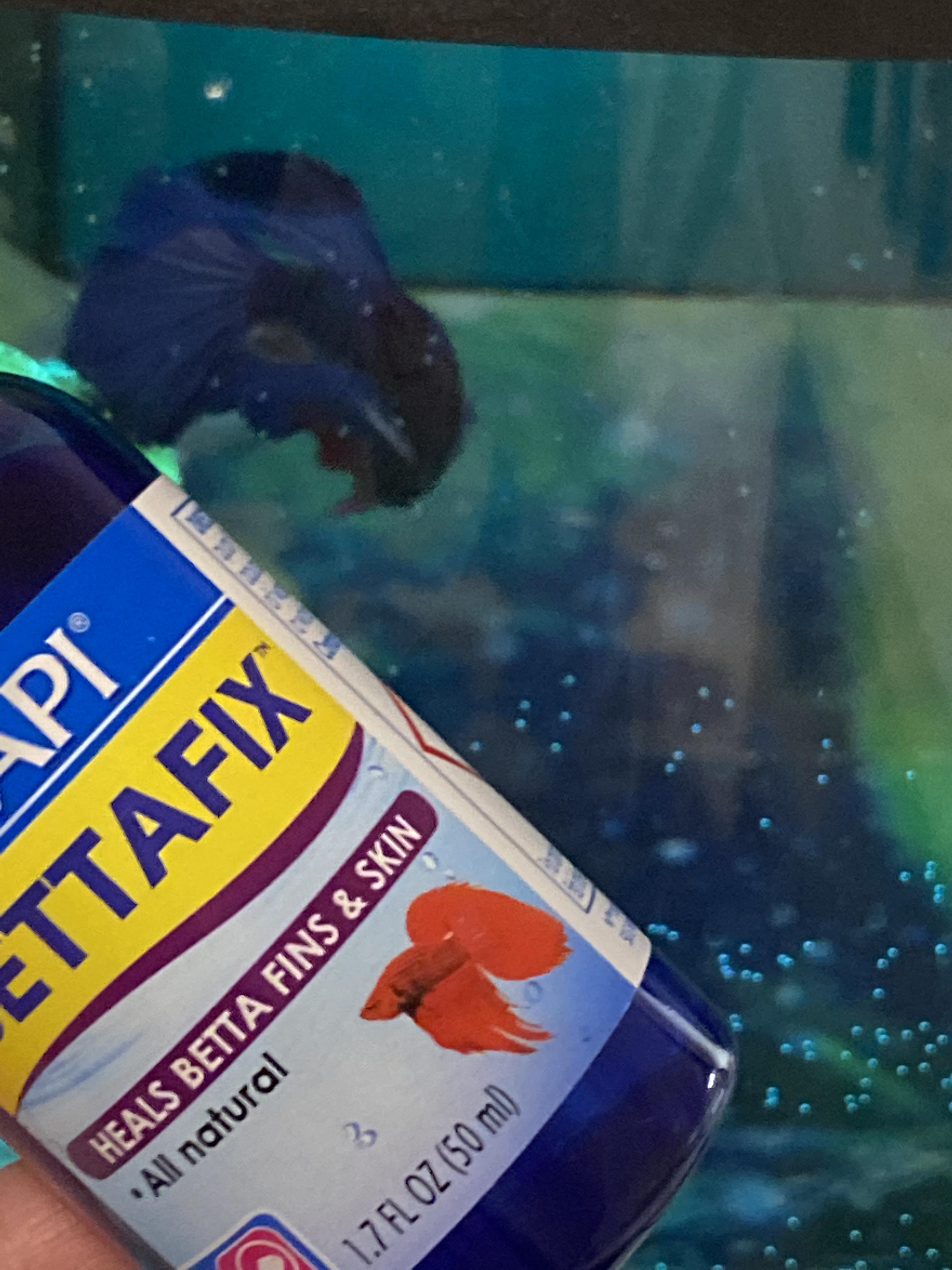 How many drops of bettafix for 3 gallons? I don’t have teaspoons and