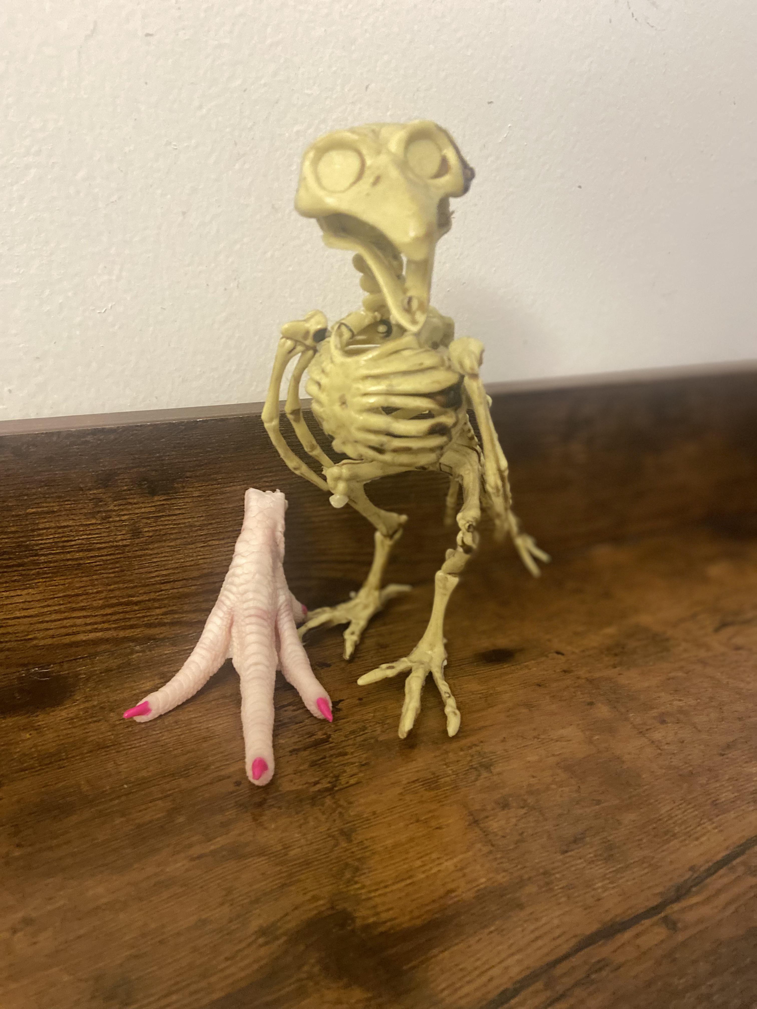 Coworker painted chicken feet nails, and brought it to work for a photo