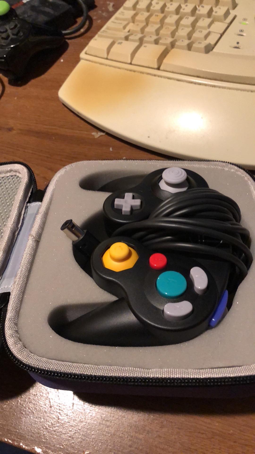 How to paint this controller r/Gamecube