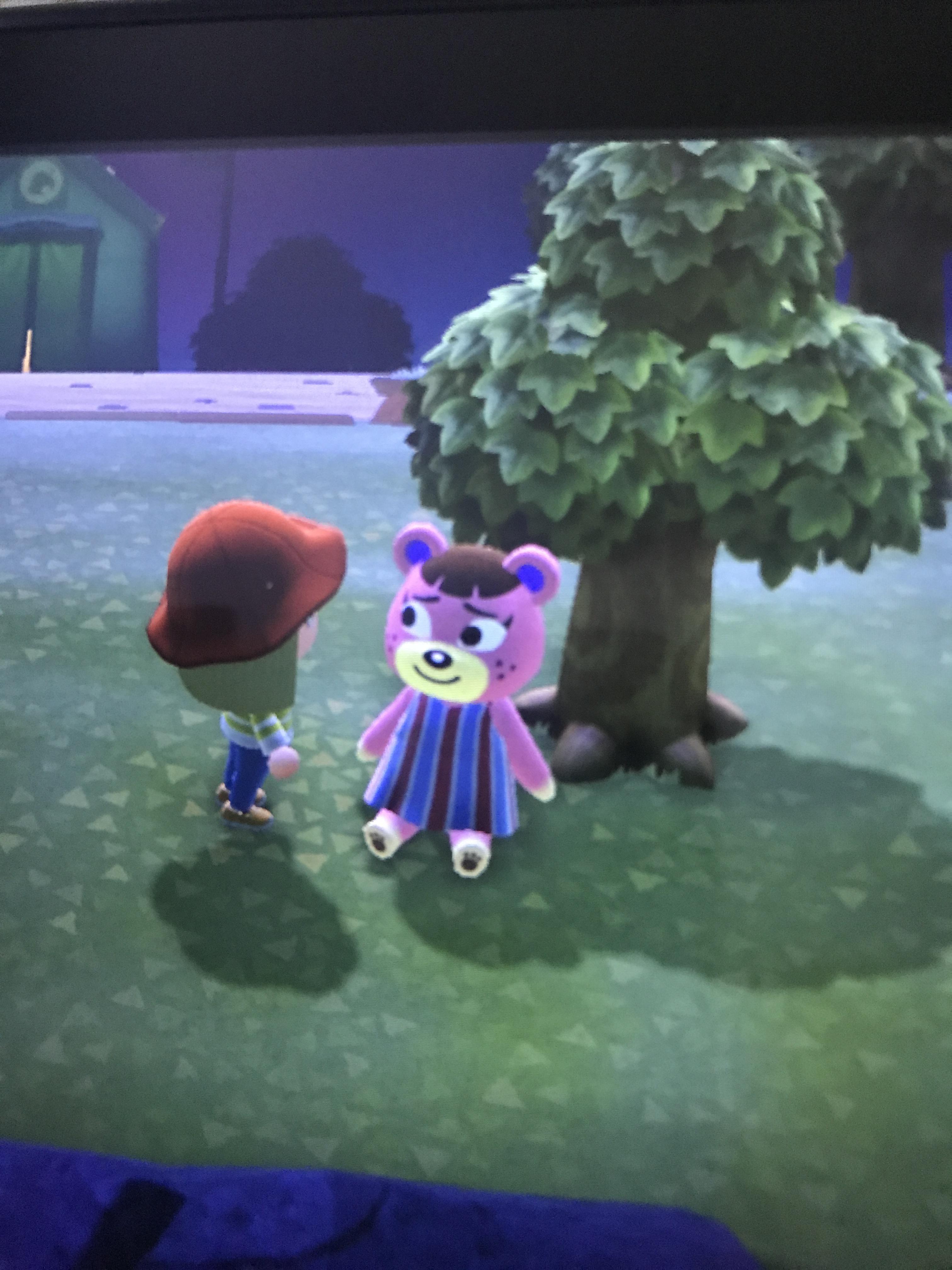 Ursula seems a little concerned... r/AnimalCrossing