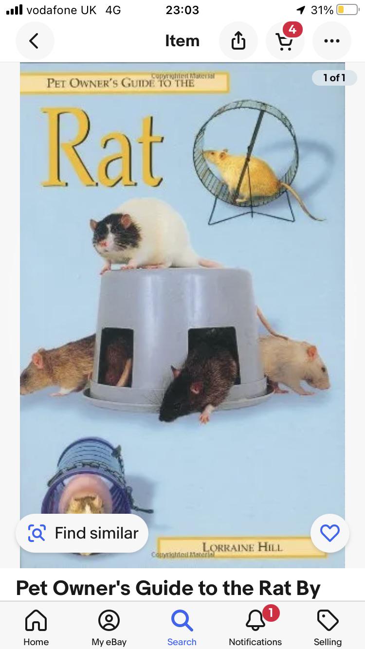 Looking at rat care books. The rat wheel is telling me this author