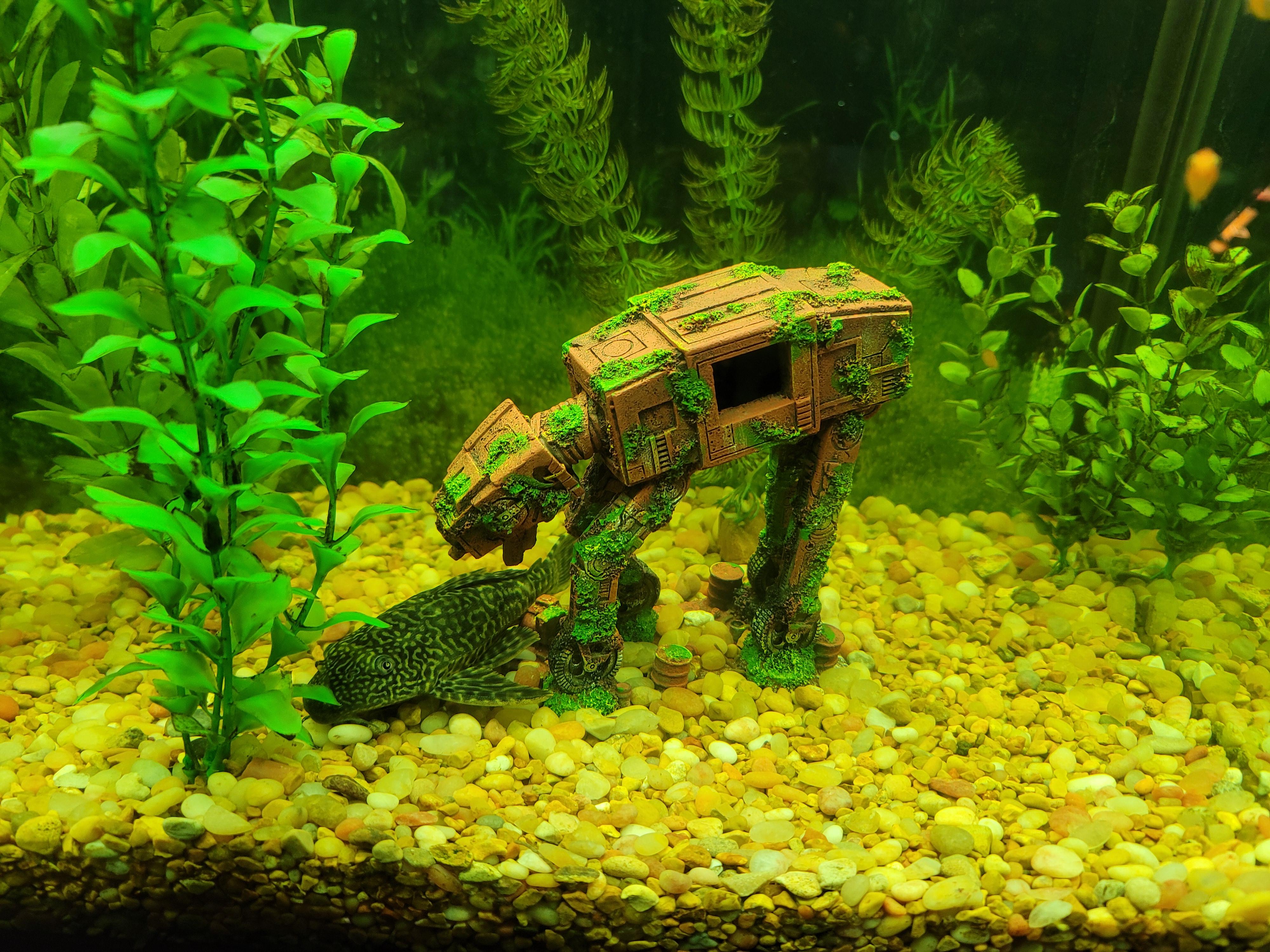 Fish tank decor r/StarWars