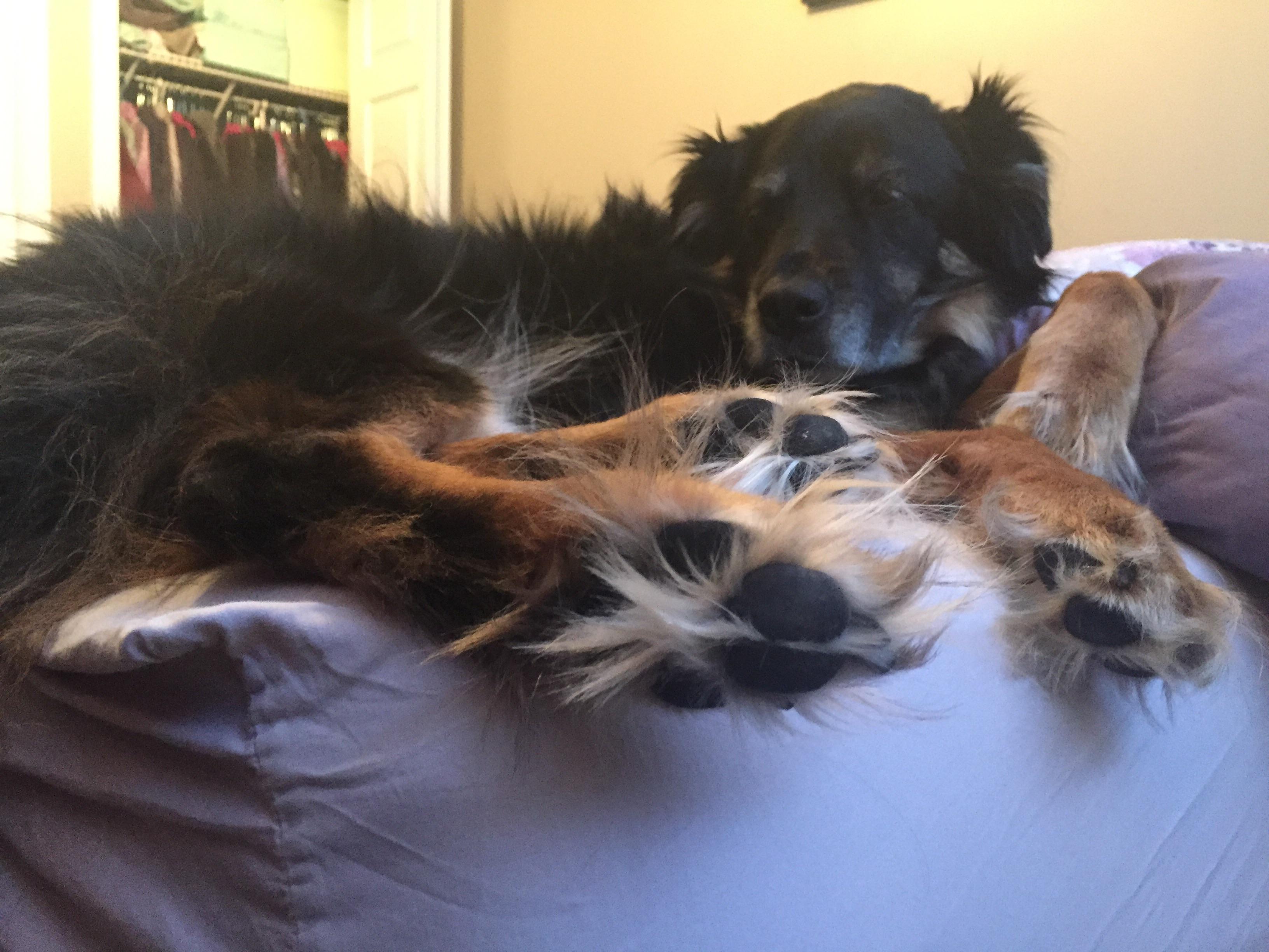 This pic doesn’t even capture the craziness that is Abby’s grinch feet