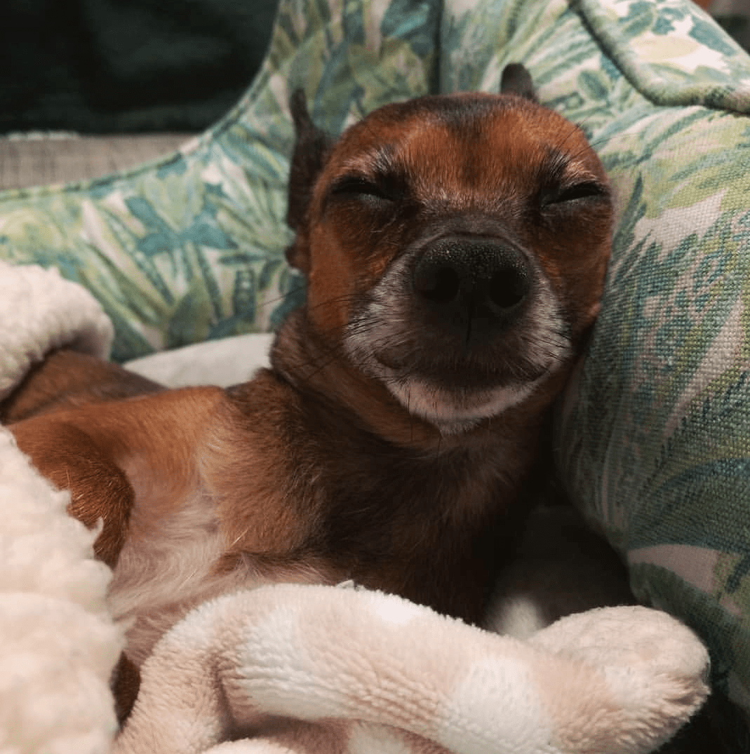 Her name is Mozzarella, and I just want to give her everything that she wants. I love her so