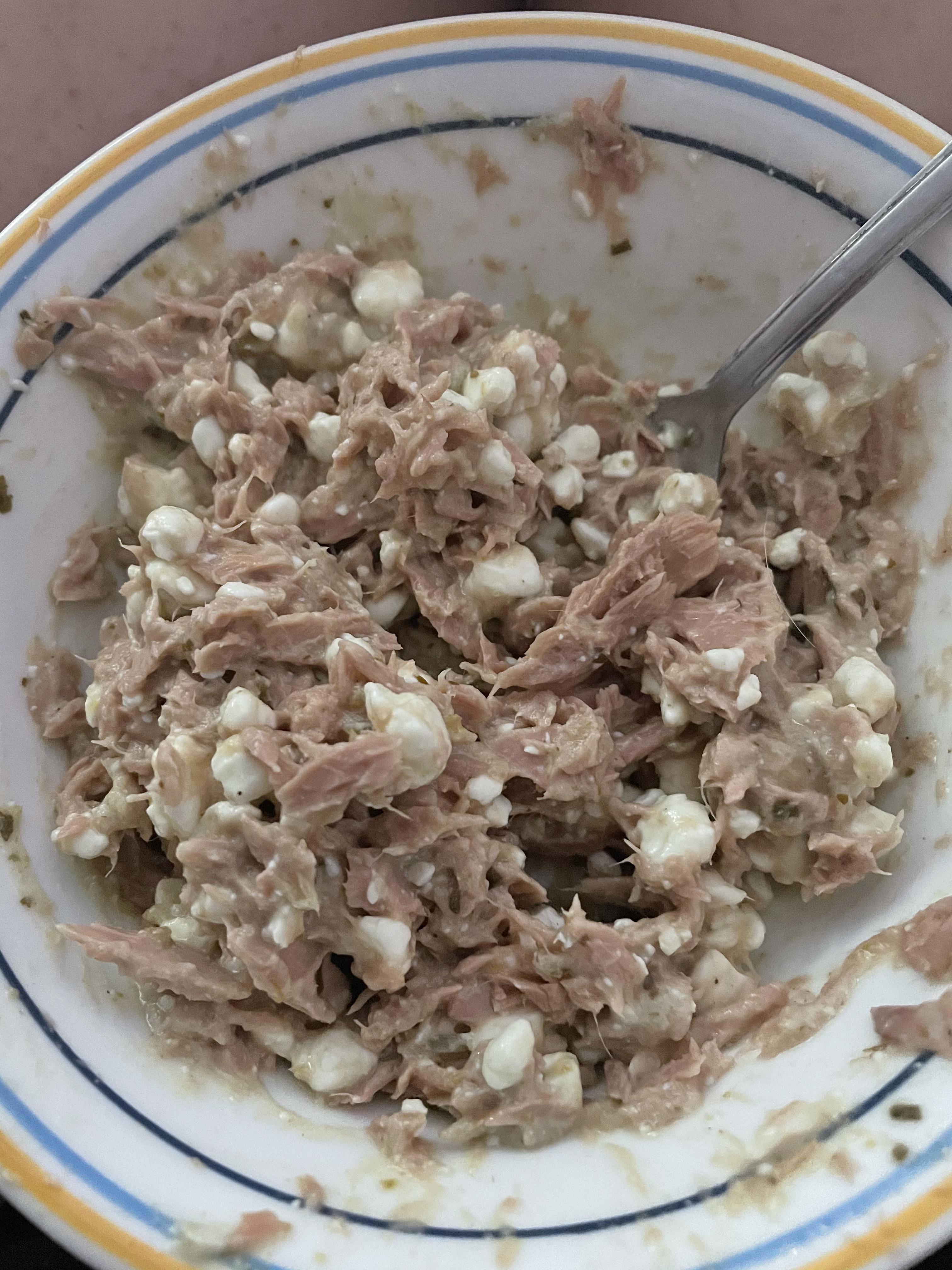 cottage cheese, salsa verde, and canned tuna added in haste. tastes