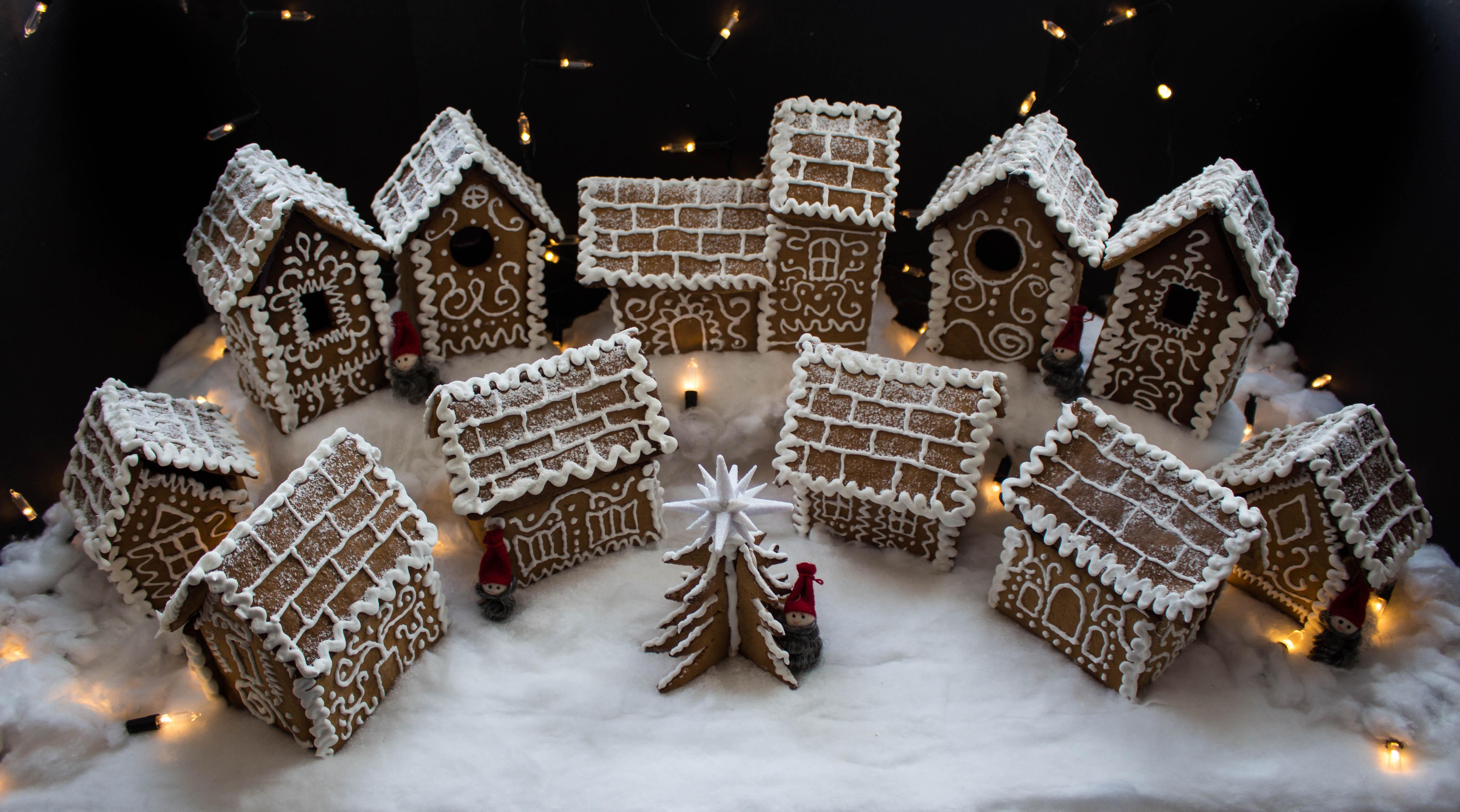 [homemade] a gingerbread village r/food