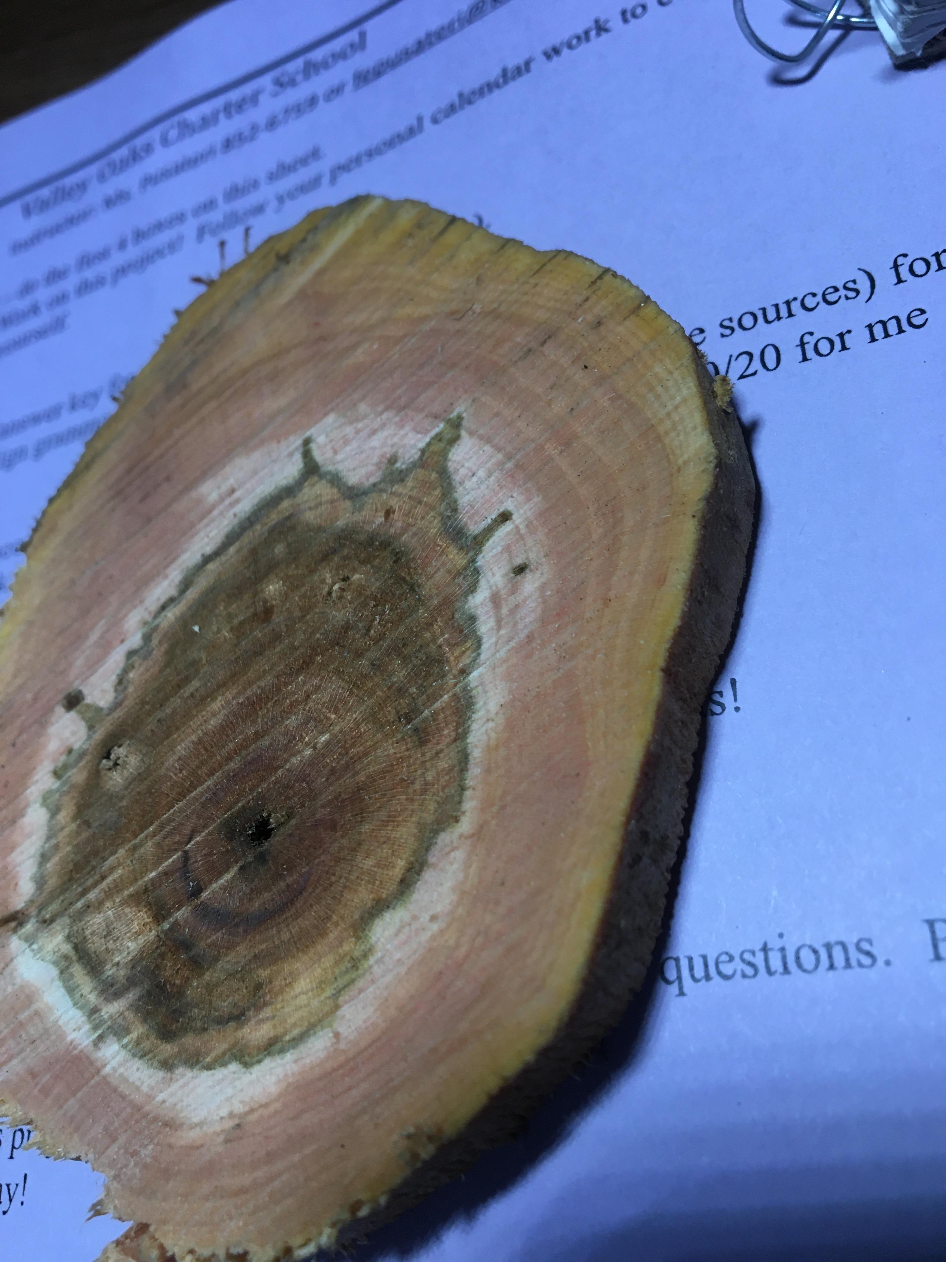 I wanted to know the best way to dry logs for turning without cracking