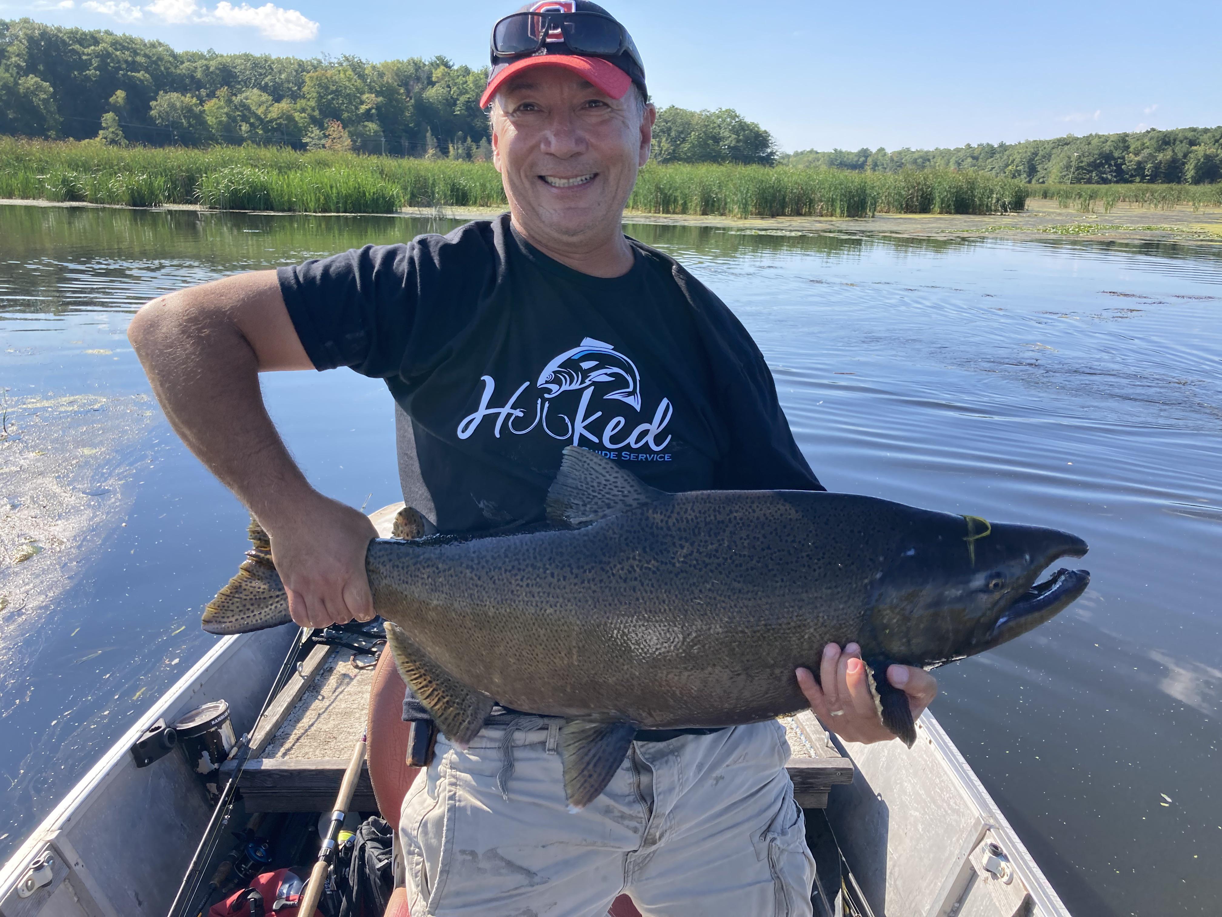 West Michigan chinook r/Fishing
