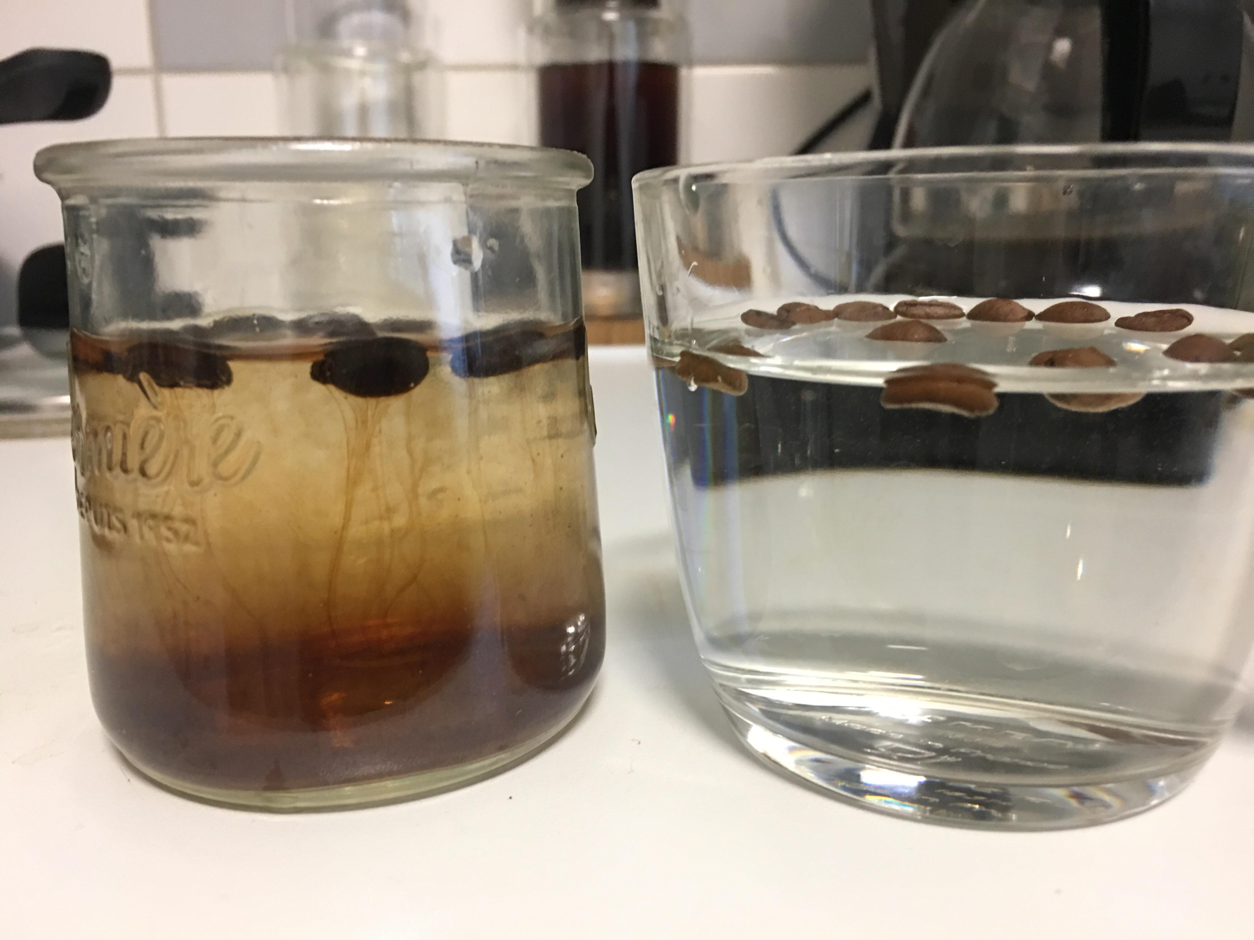 HELP Beans into cold water. Left french roasted beans. Right light