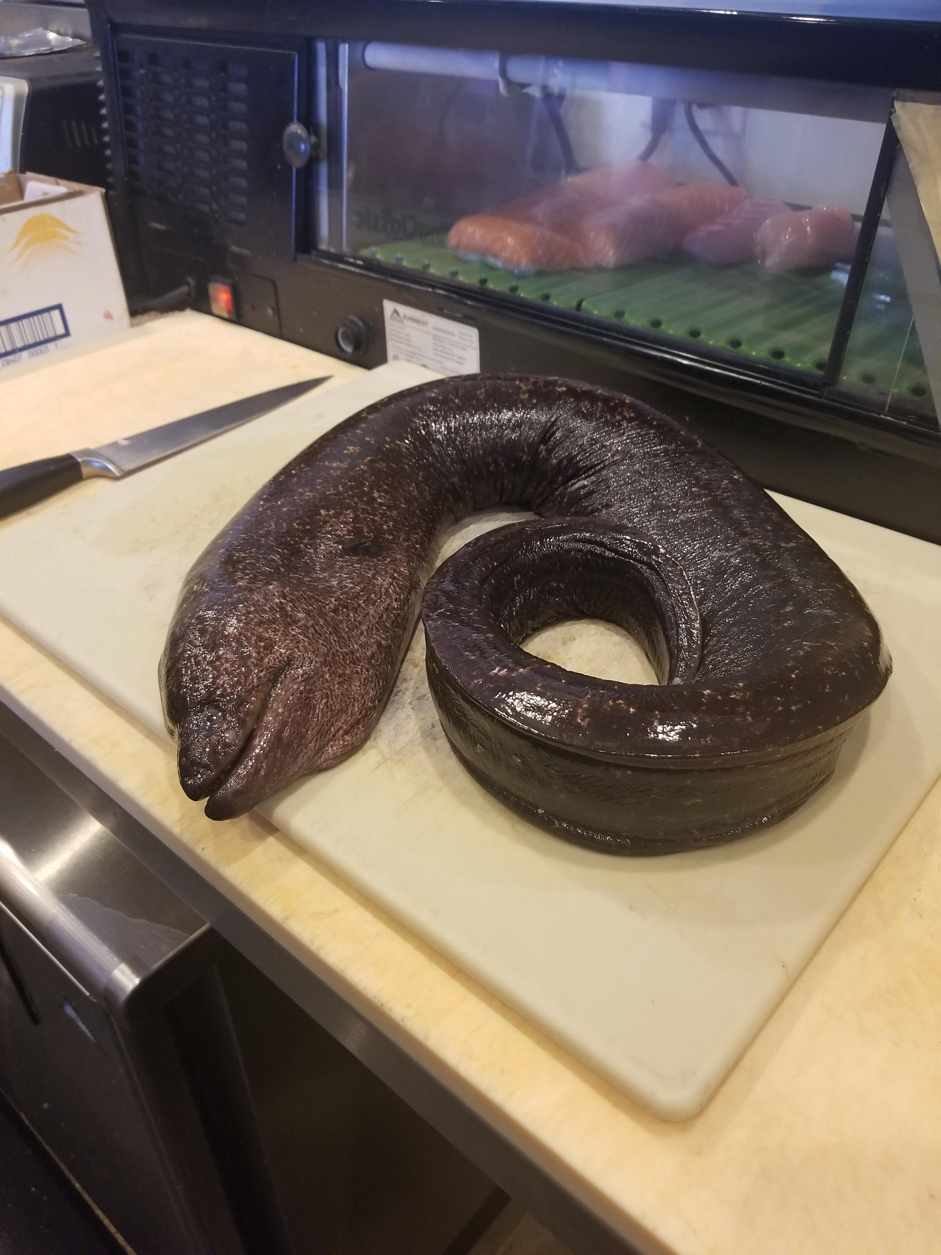 Anybody know how to cook fresh eel? r/Seafood