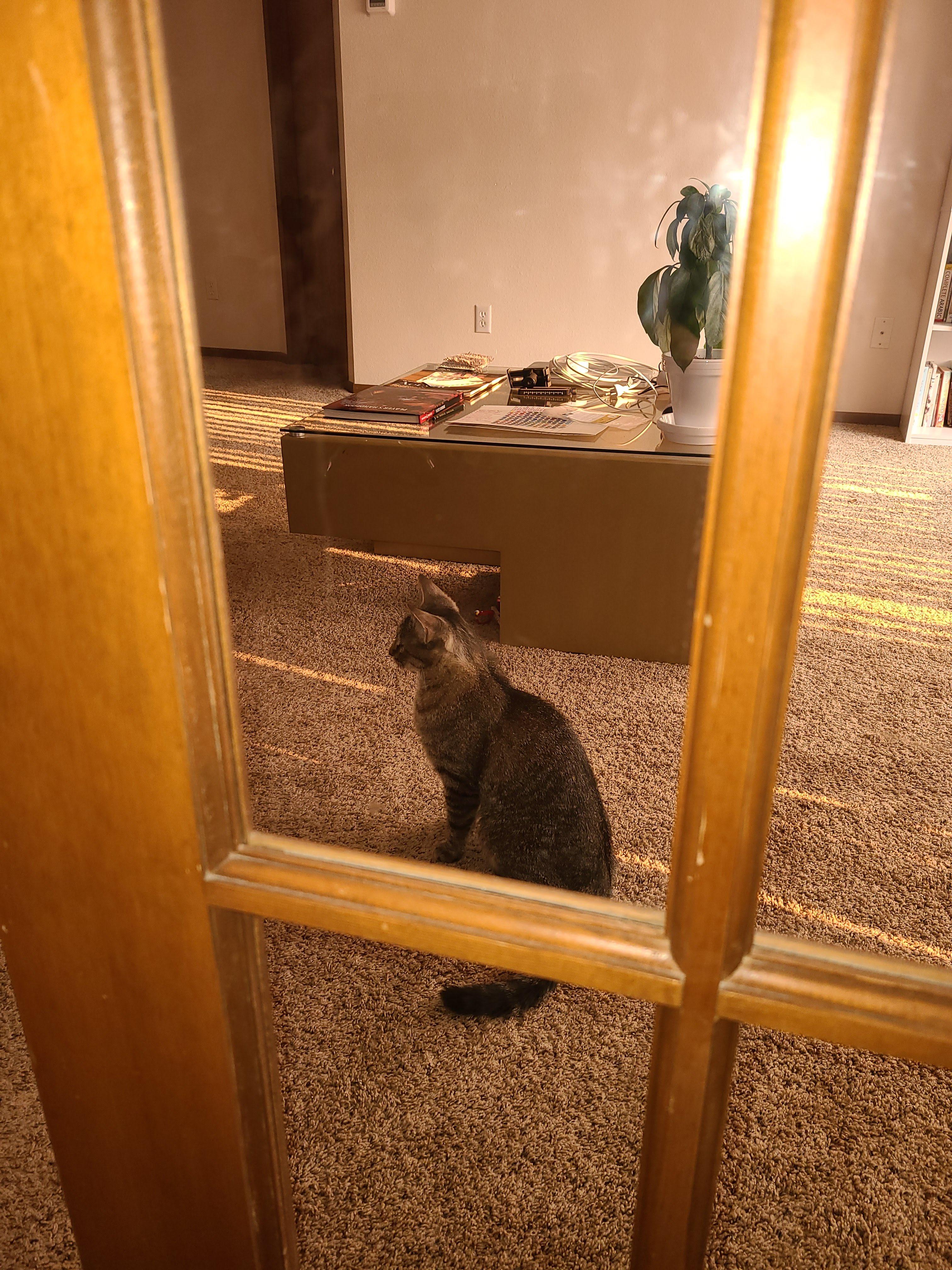 Military Surplus? fargo