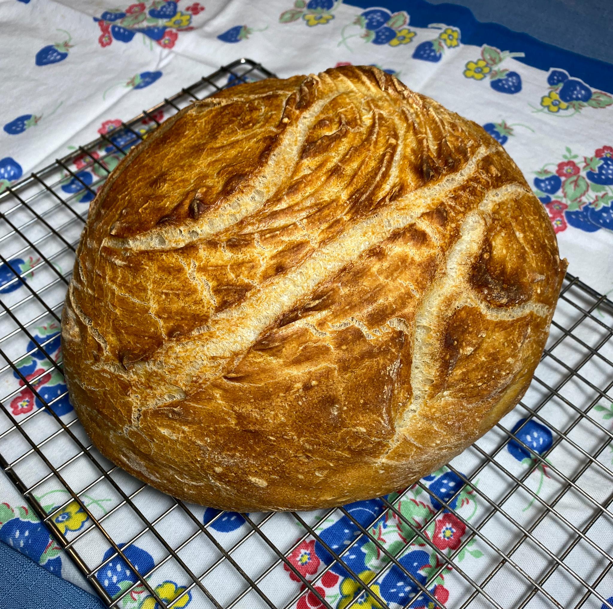 Pane Pugliese via Cast Iron Dutch Oven Breadit