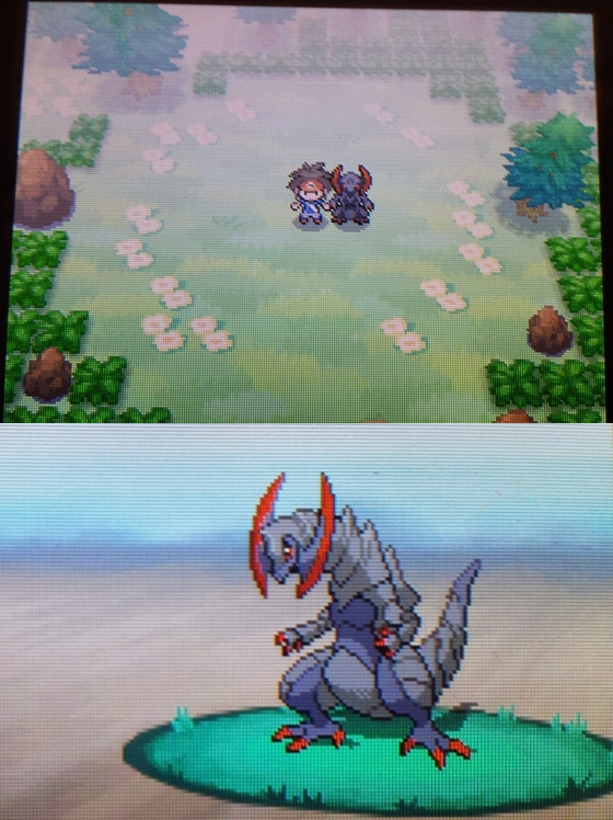 [gen5] Got the Shiny Haxorus in the Nature Preserve after