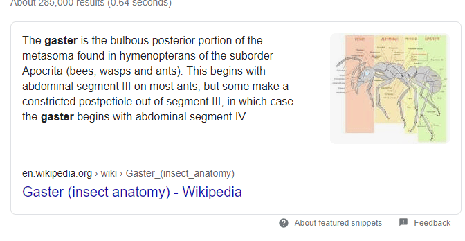 FYI Gaster Is Another Word For Insect Ass Undertale