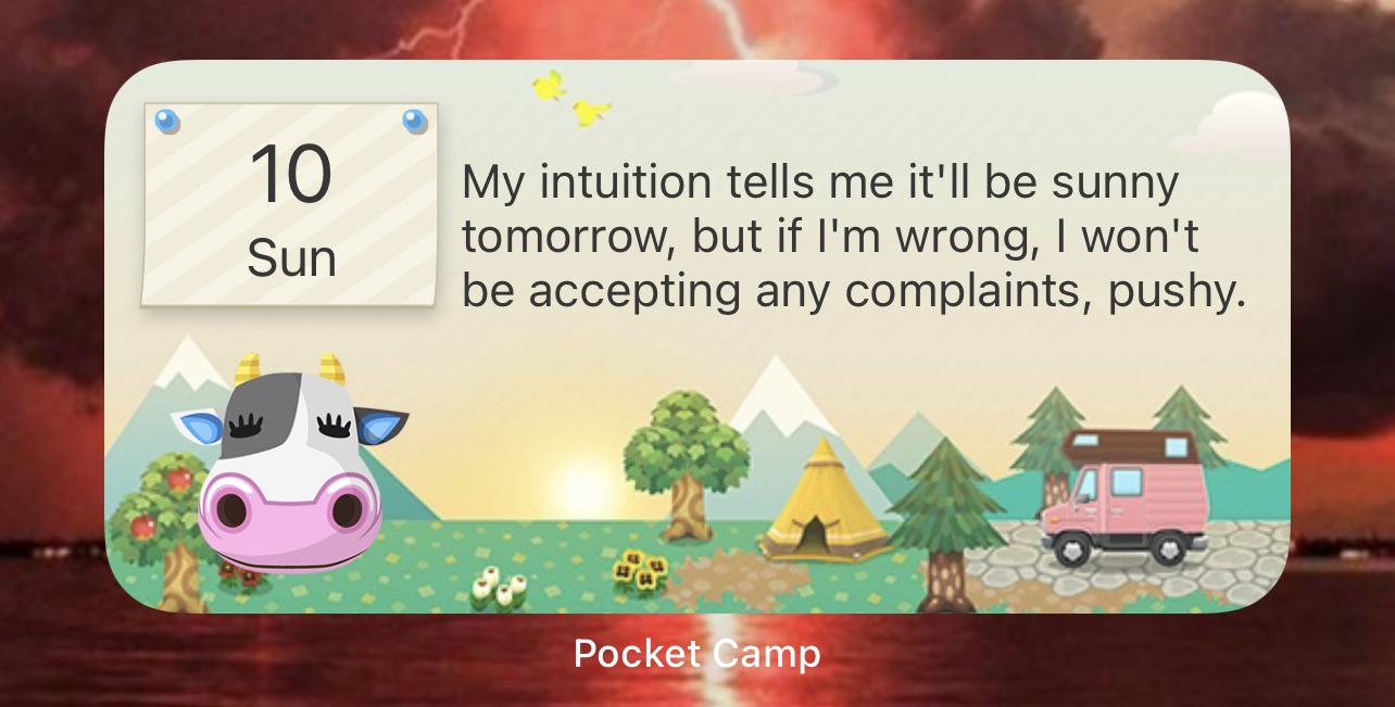 Pocket Camp Words of Wisdom Widget July 10th, 2022, Morning Edition
