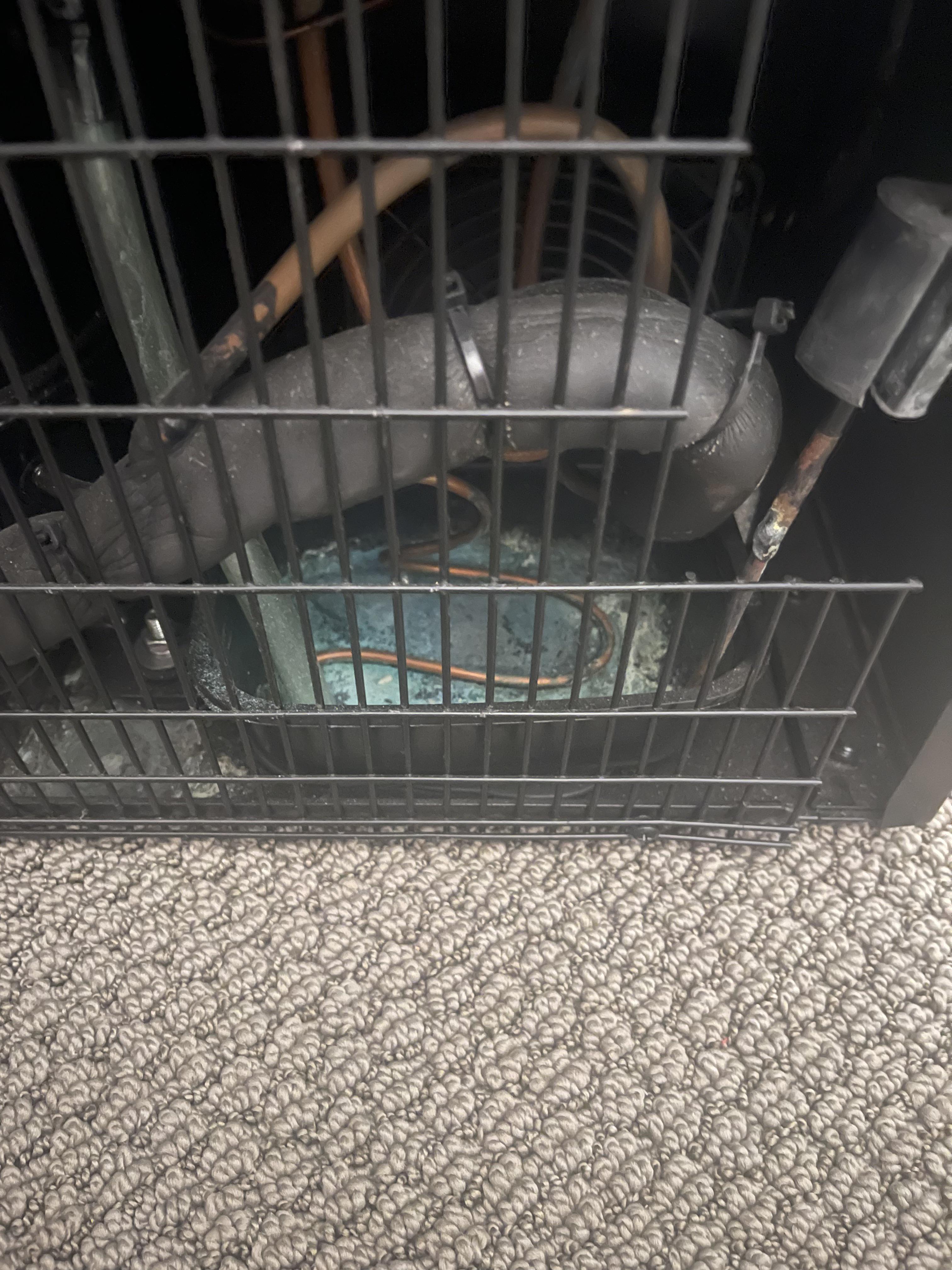 Could this dried turquoise crust be the reason my wine refrigerator isn