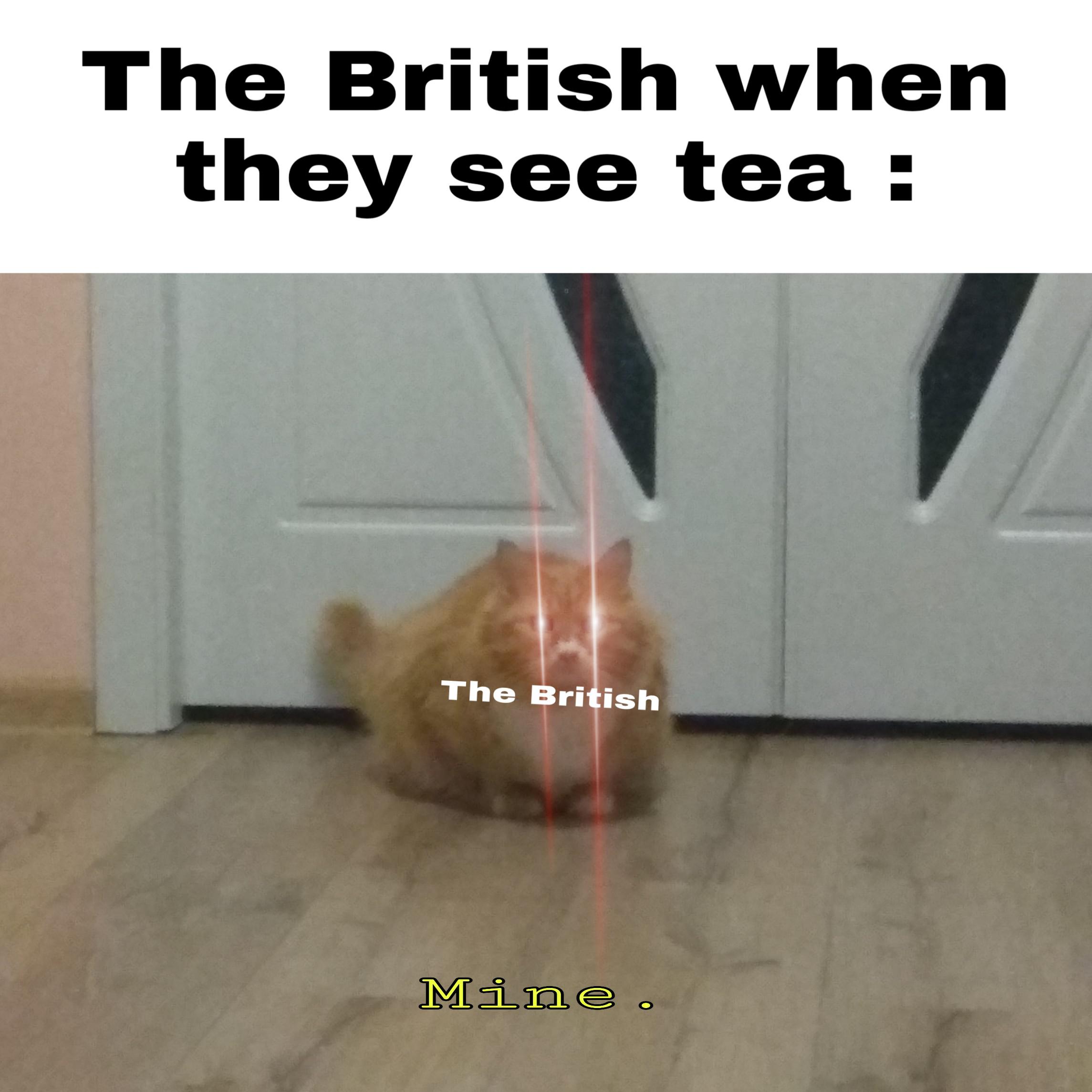 The British when they see tea r/HistoryMemes