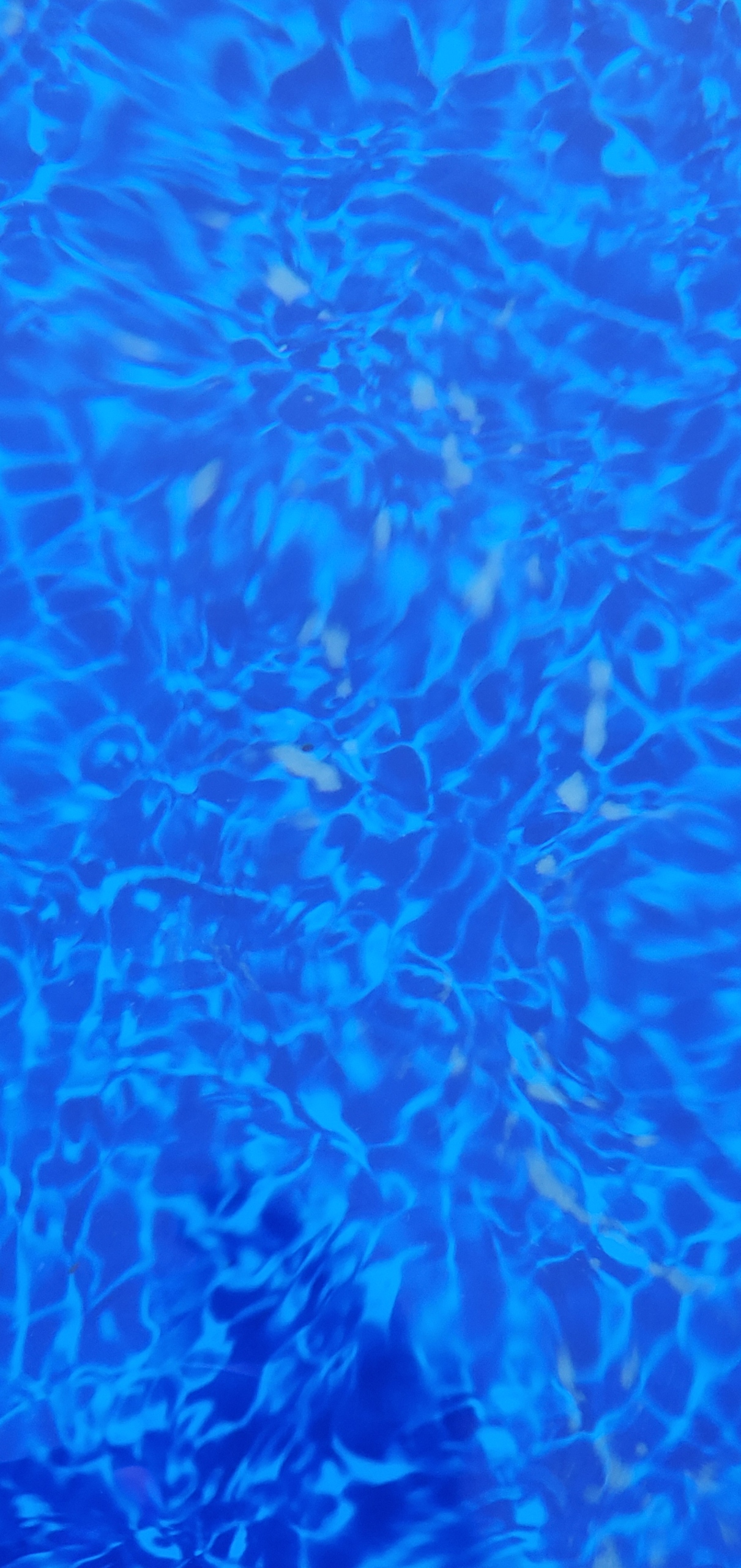 Can't get this this diatomaceous earth out the bottom of my pool. r/pools