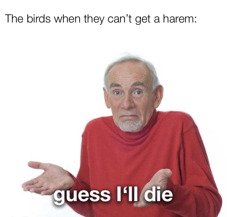 psat meme 2020 psatmemes