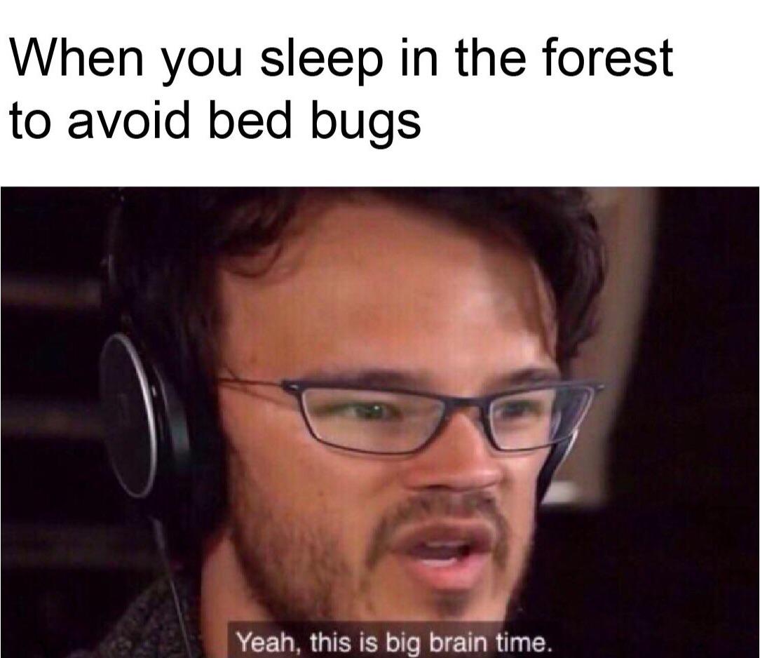 Damn bed bugs r/memes