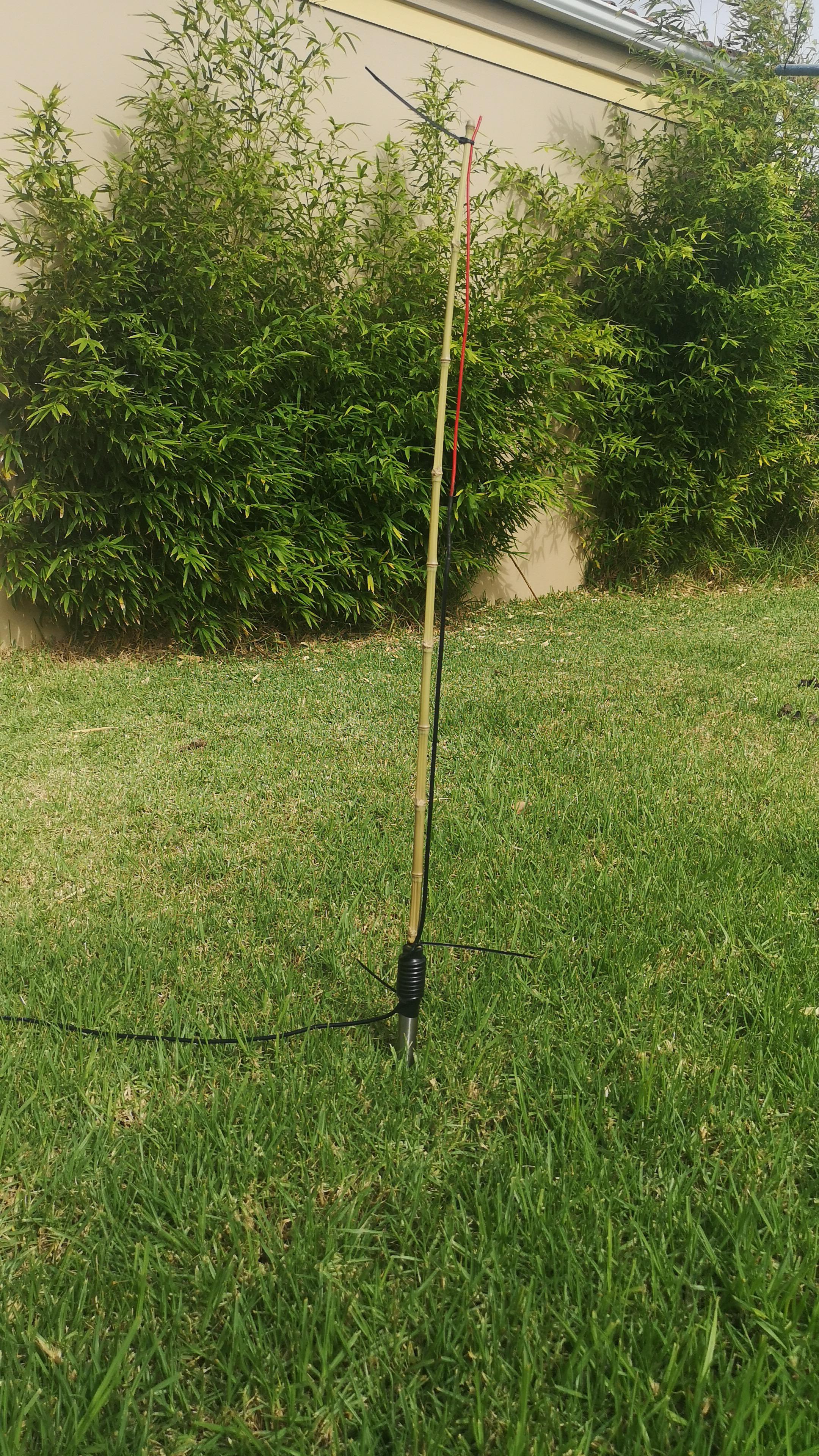 Plant pot antenna built with some wire some bamboo and one of those