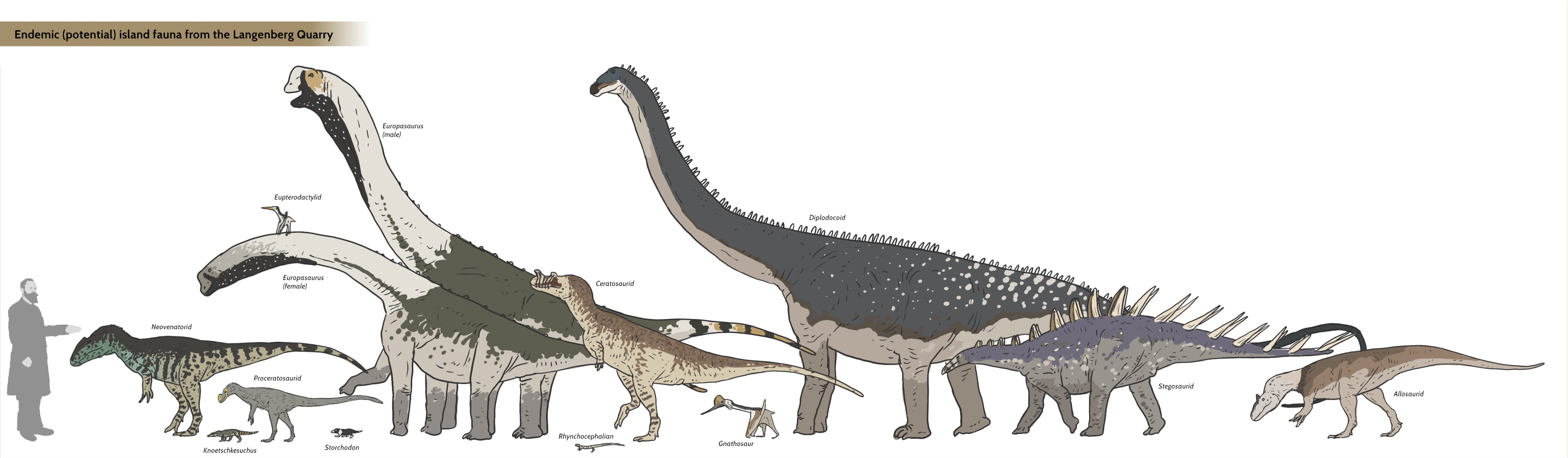 Endemic [potential] island fauna of Kimmeridgianage Langenberg Quarry, Germany (Late Jurassic