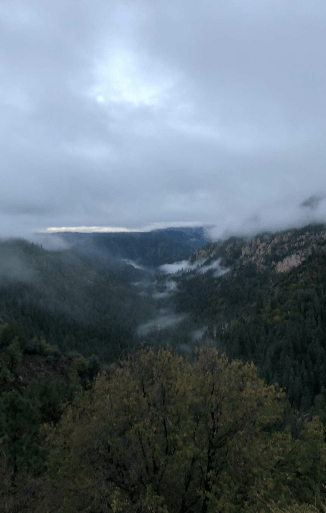 Oak Creek Canyon, Sedona, AZ r/hiking