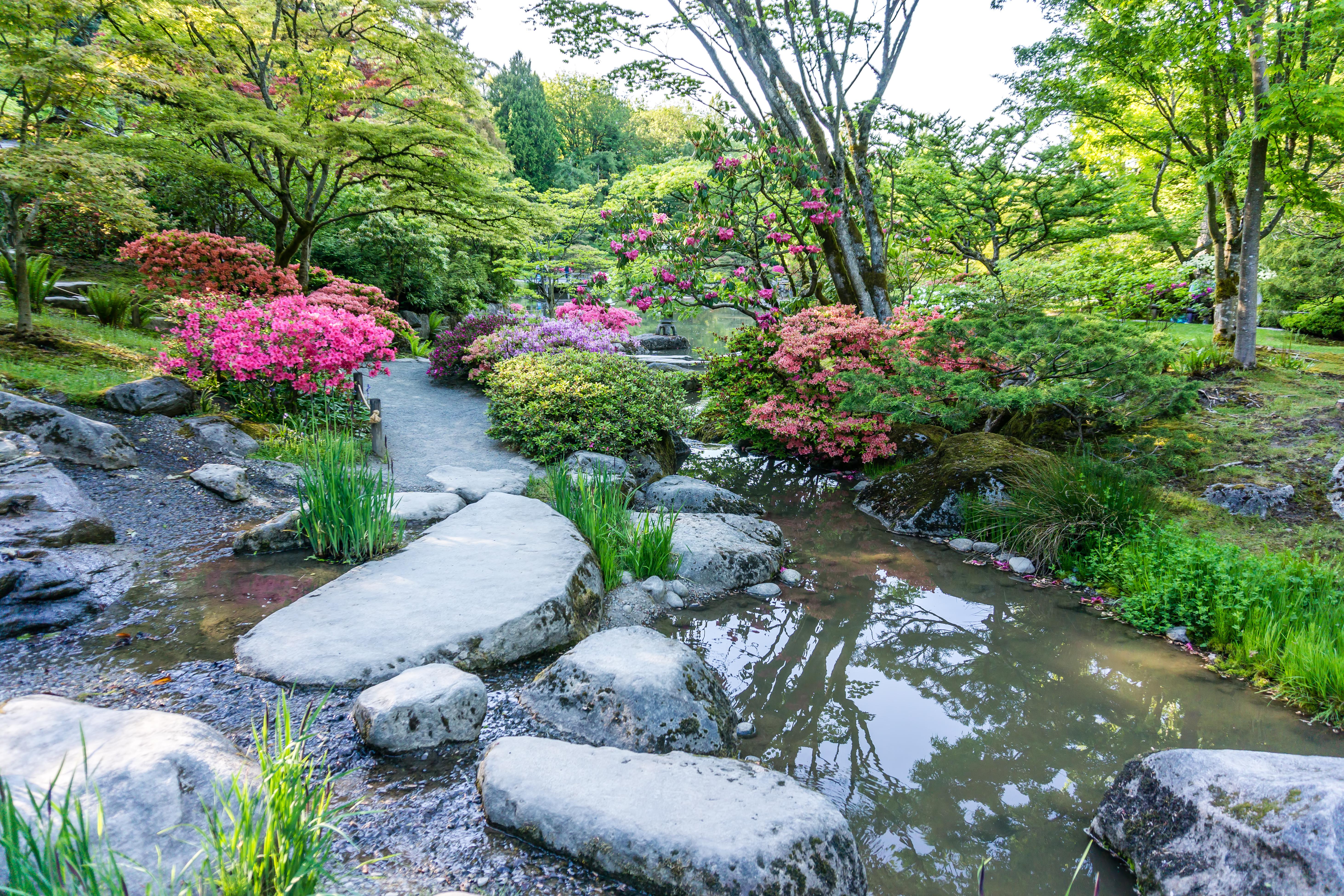 Seattle Japanese Garden Everything seems to be blooming. [OC] r