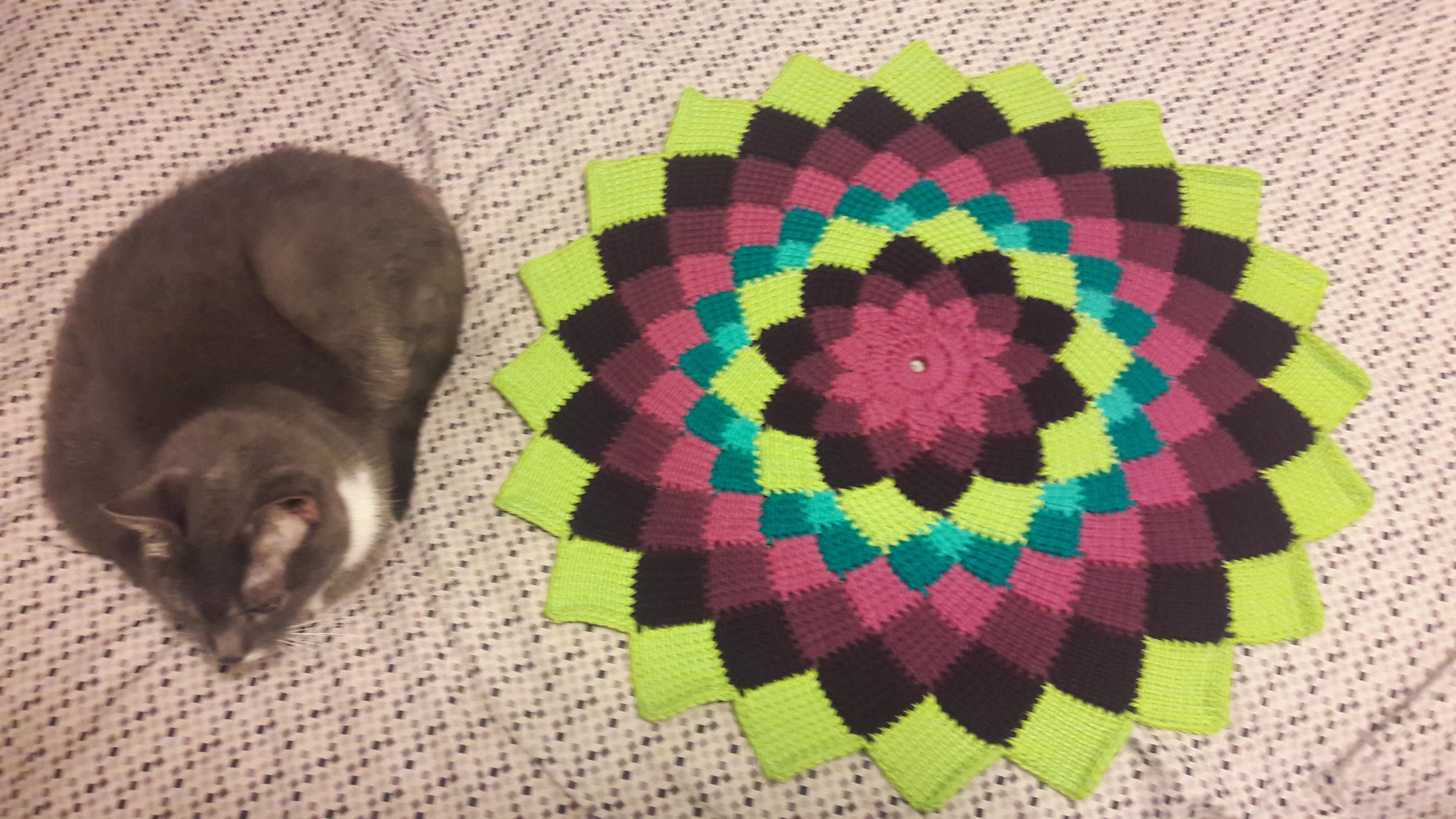 WIP Wednesday Sunny Daze Tunisian flower with fat cat for scale crochet