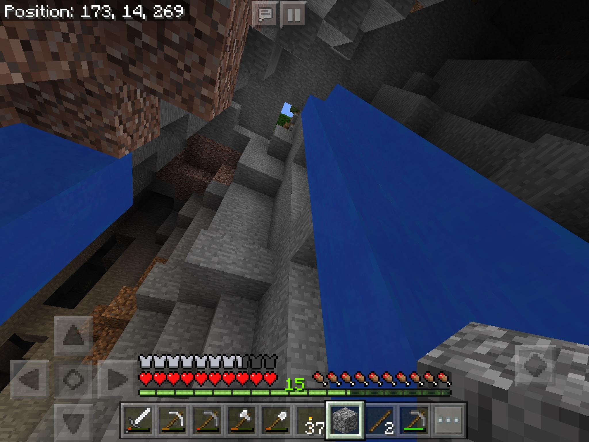 Naturally generated level 14 area exposed to sunlight r/Minecraft