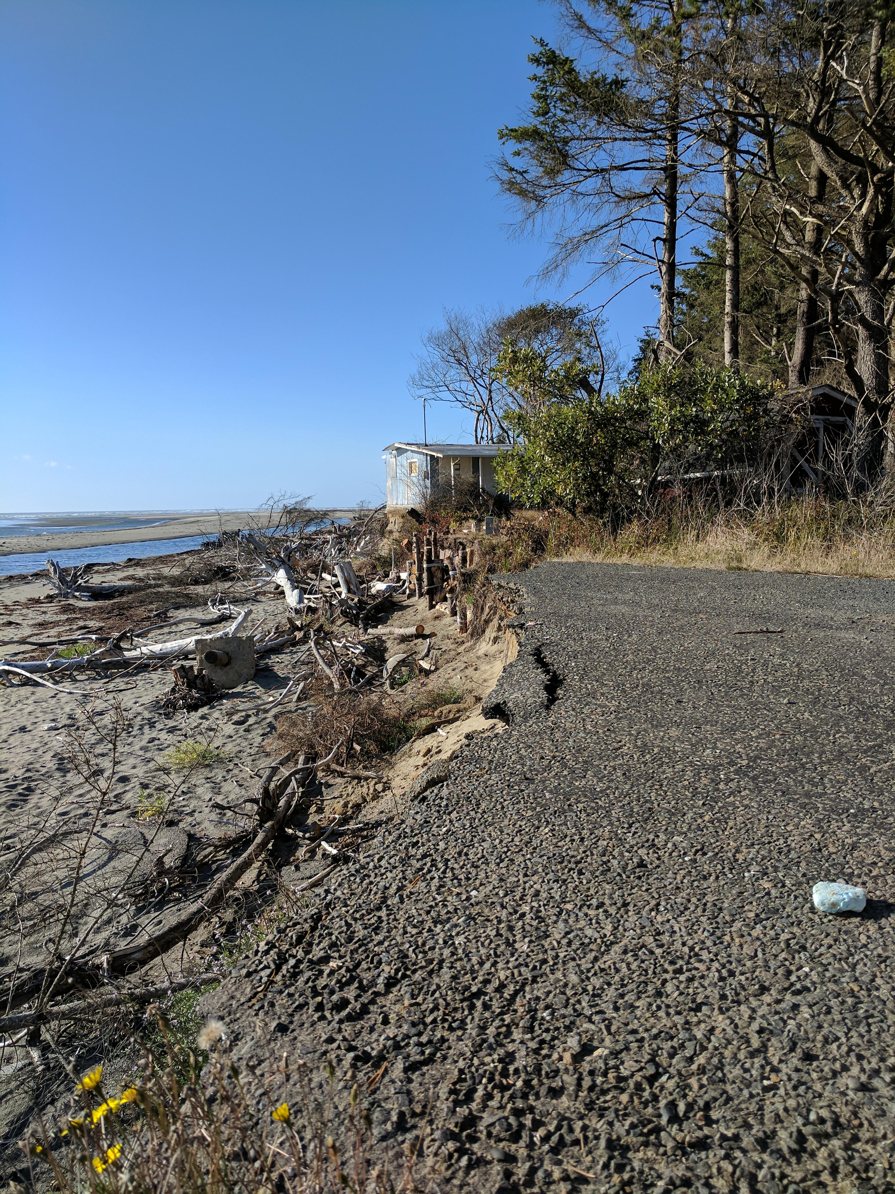 The Effect of Erosion in Grayland, WA r/geology
