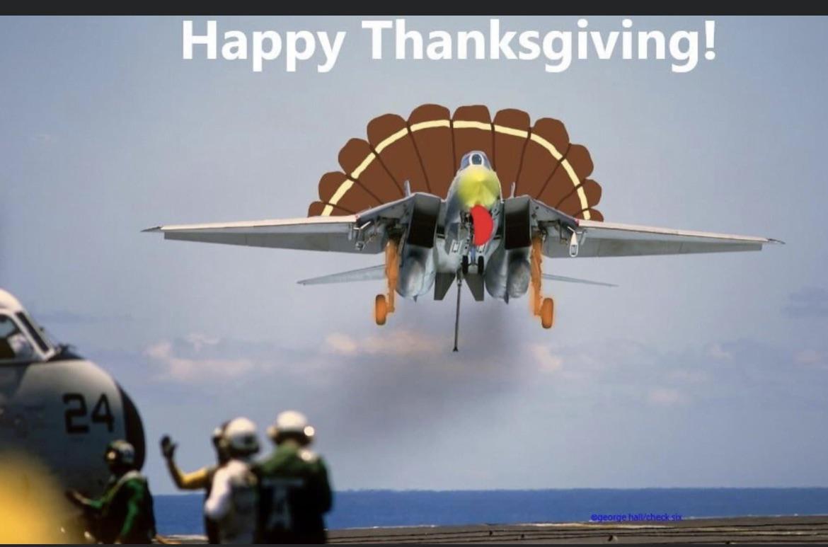 Happy Turkey Day! hoggit