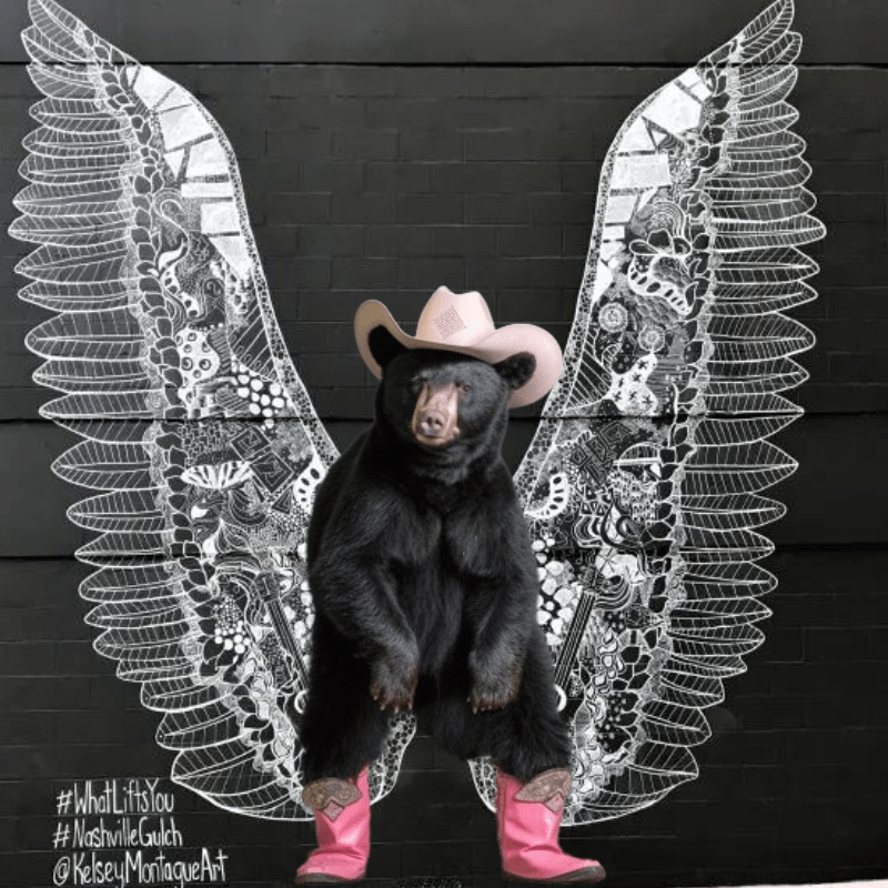 These woo girls are ruining our city. r/nashville