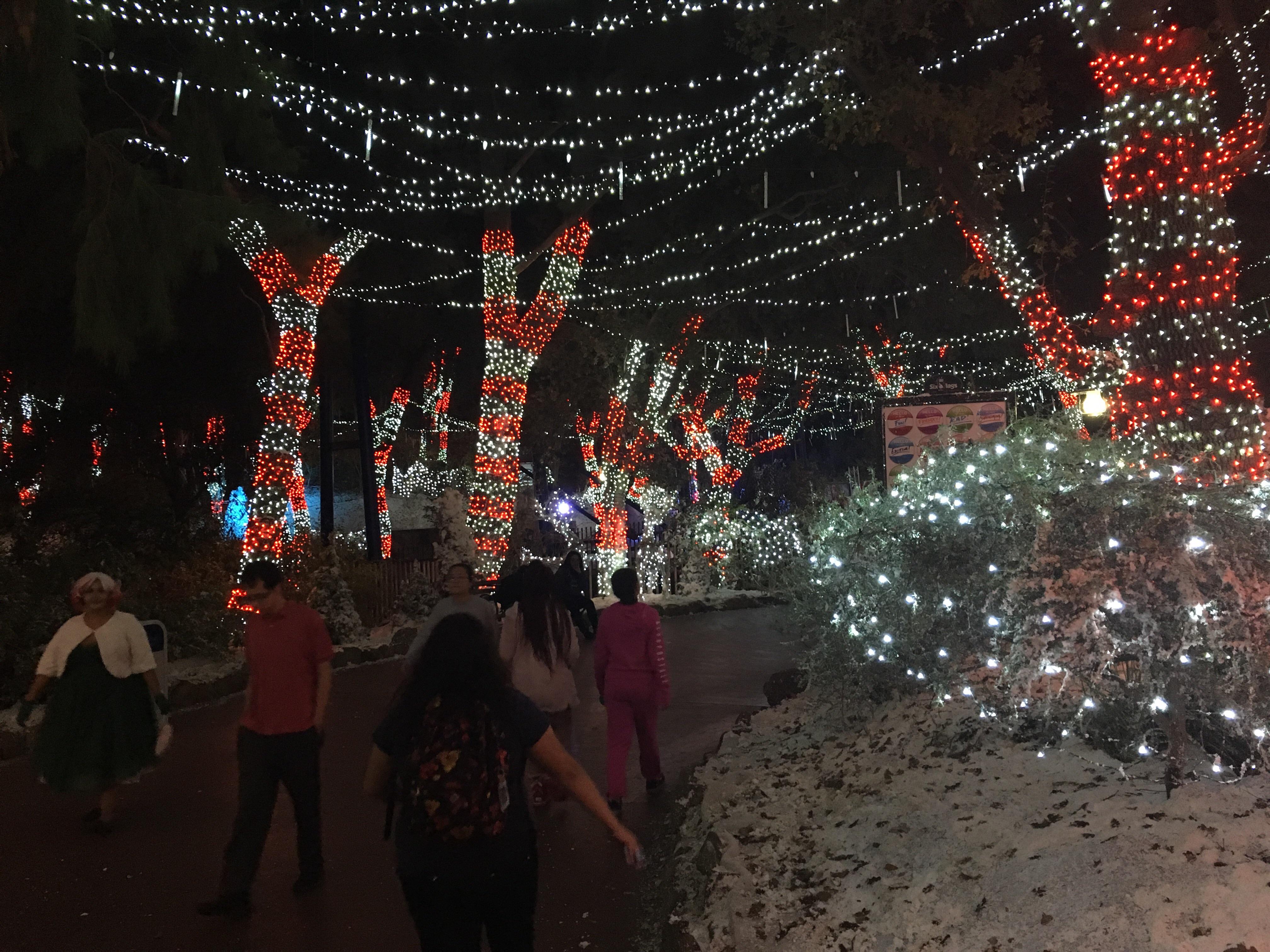 Holiday in the Park at Magic Mountain was amazing r/sixflags