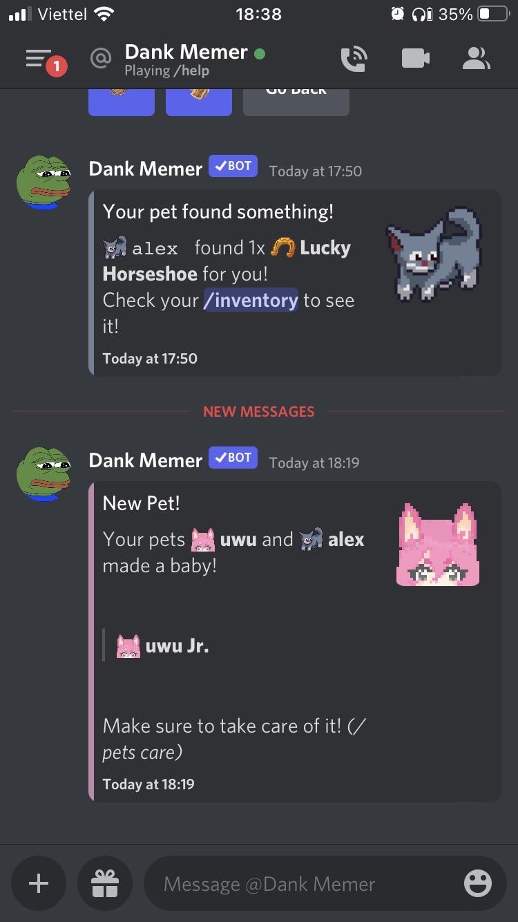 how in the... r/dankmemer