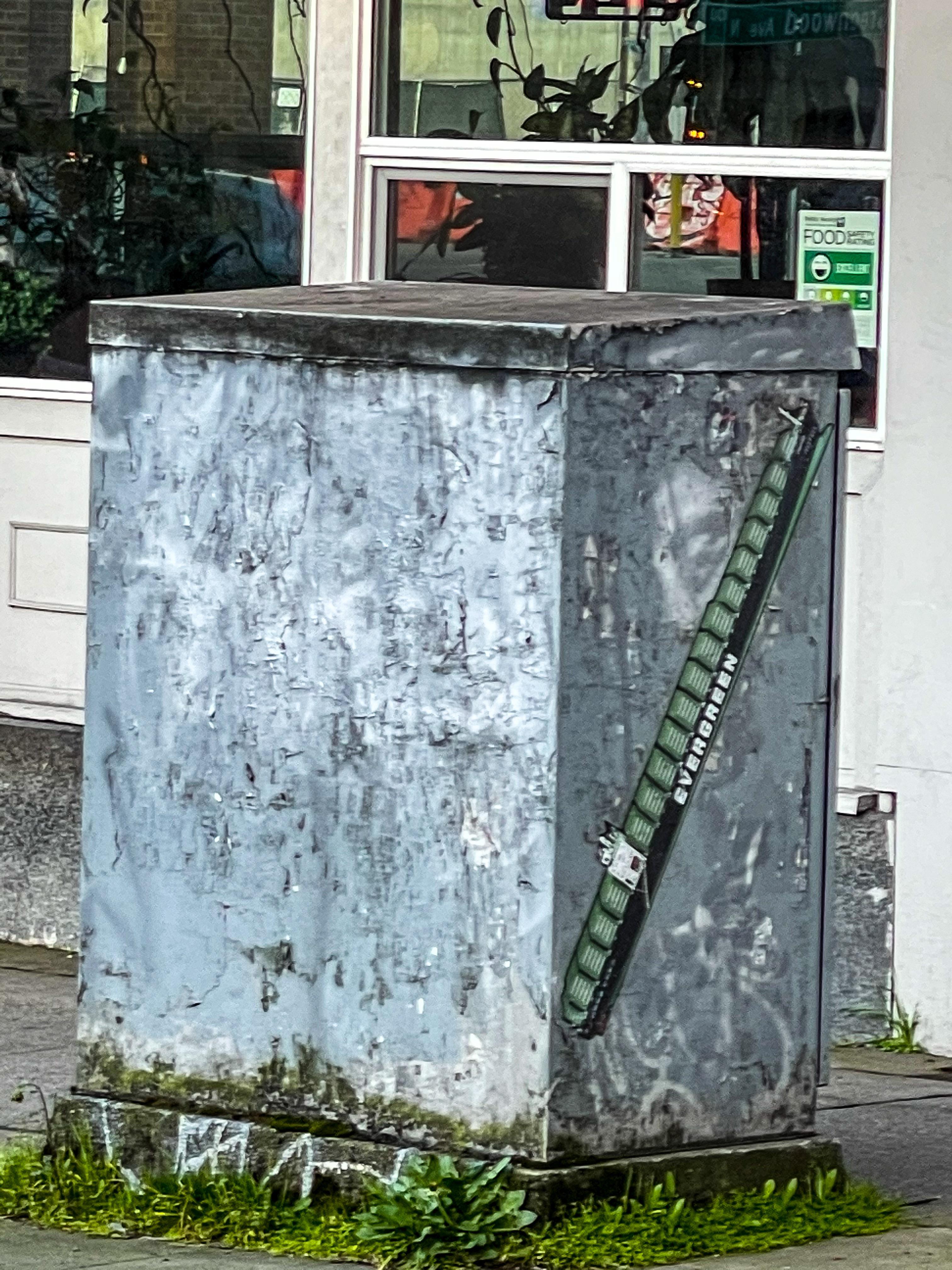 Found on Greenwood Ave r/Seattle