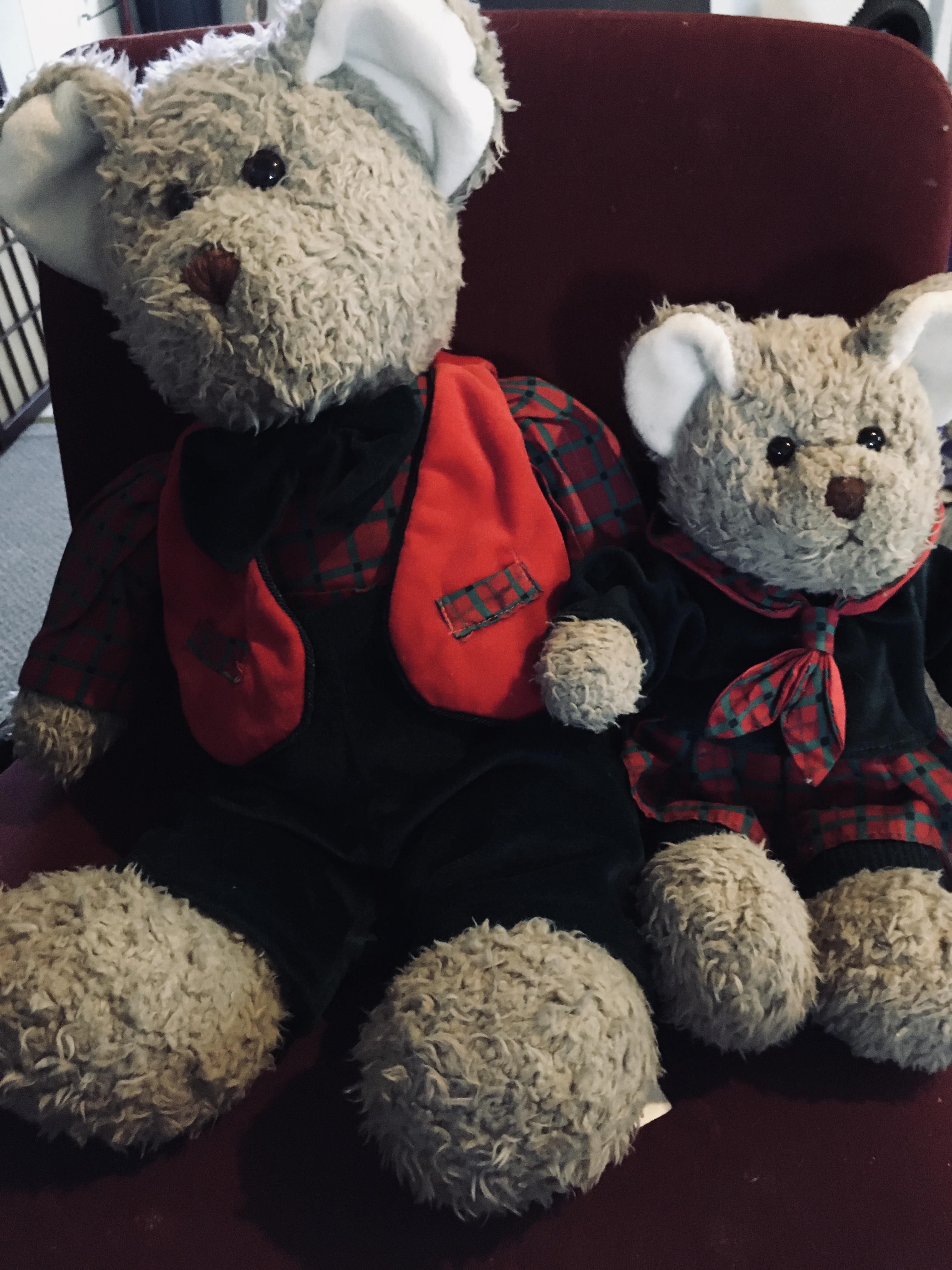 These bears are from one of my favorite childhood movies “The Bears Who