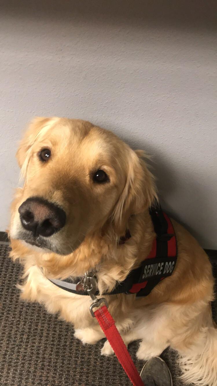 My wonderful service dog Lincoln with me at the neurologist r