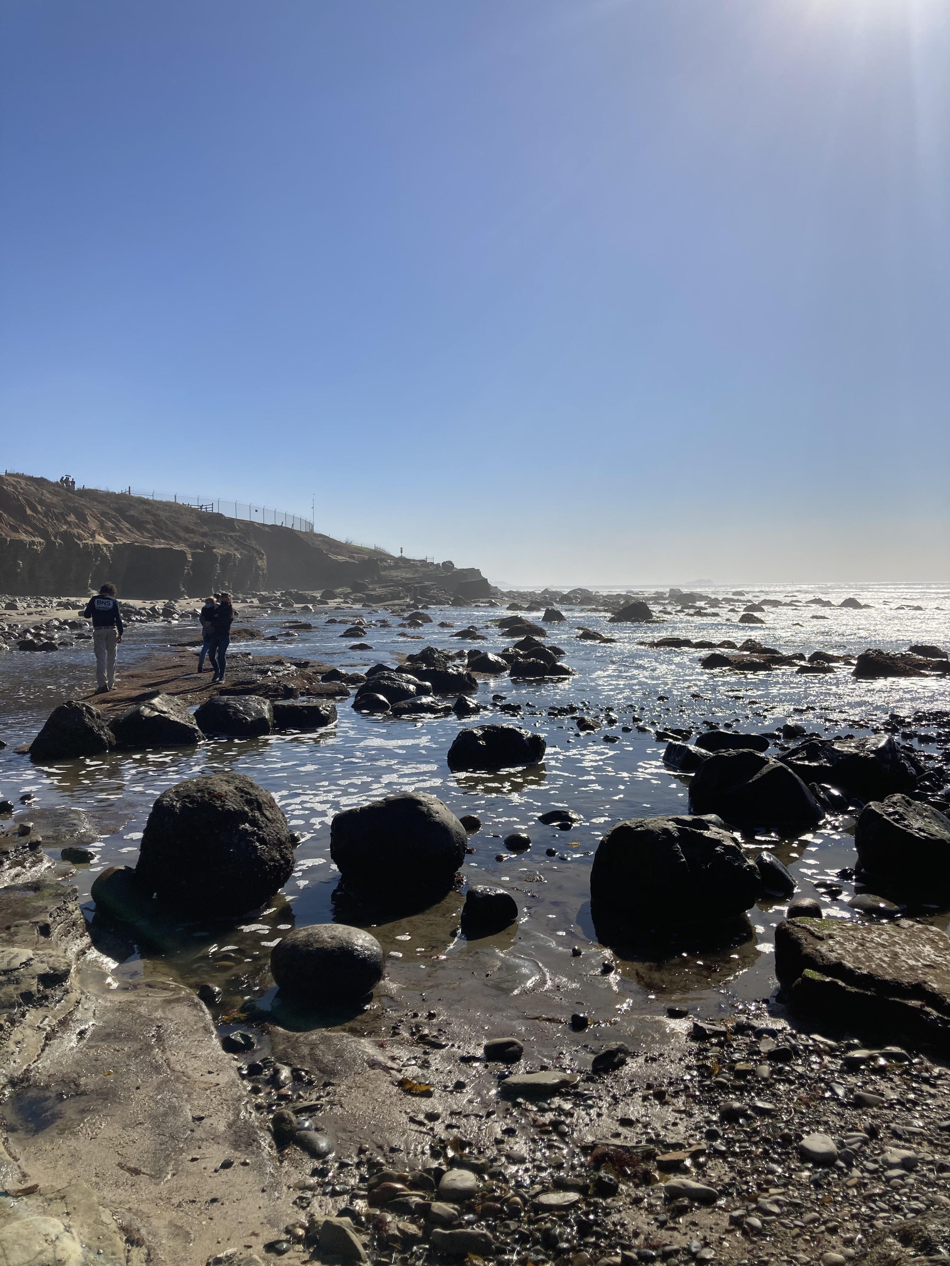 Point Loma tide pools r/Outdoors