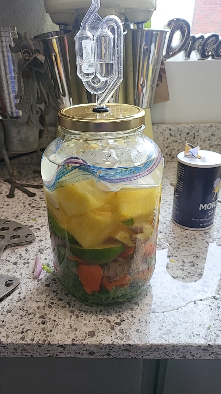 haboneropineapple ferment r/fermentation