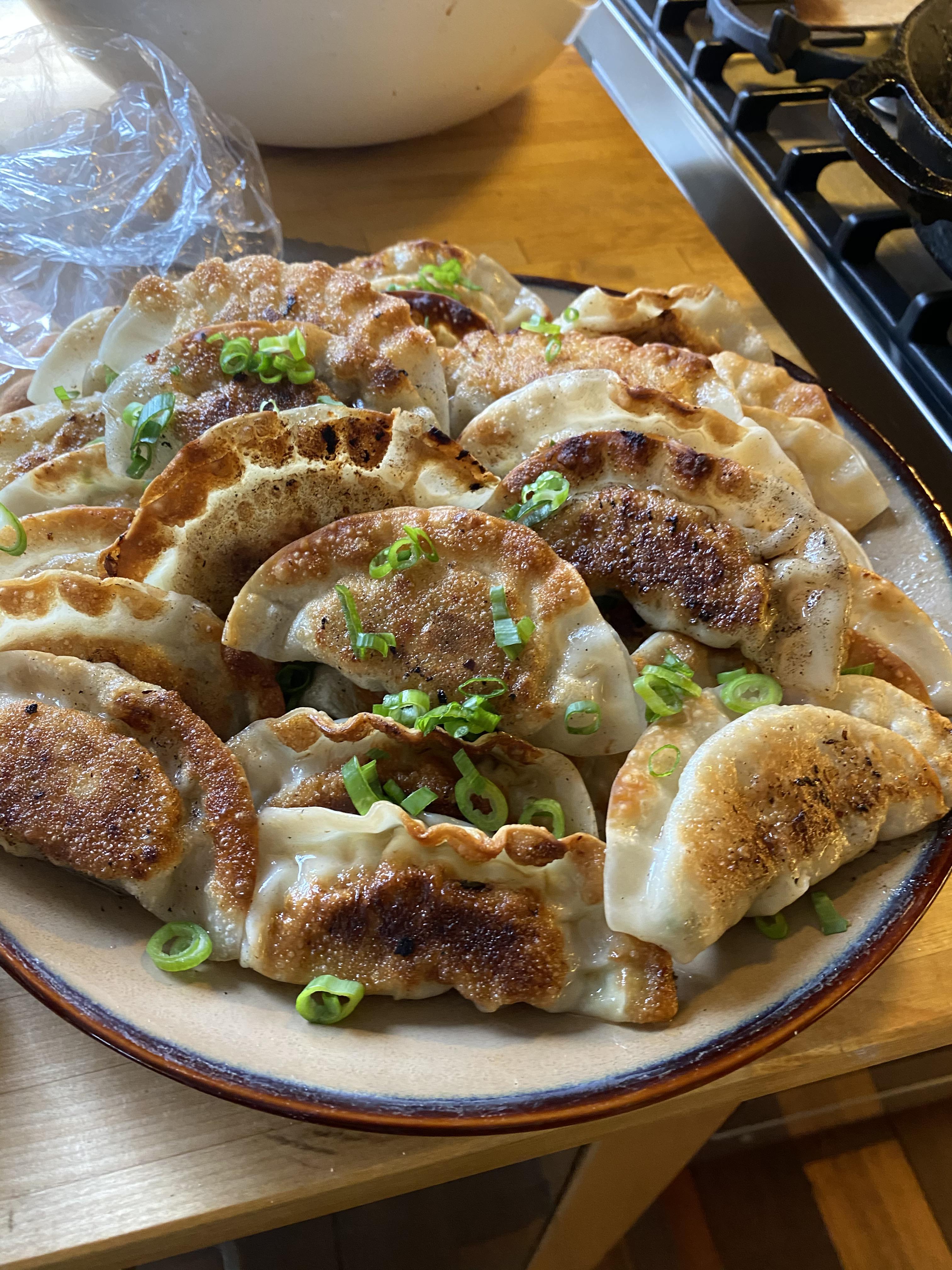 Serious Eats Japanese Pork & Cabbage Gyoza r/seriouseats